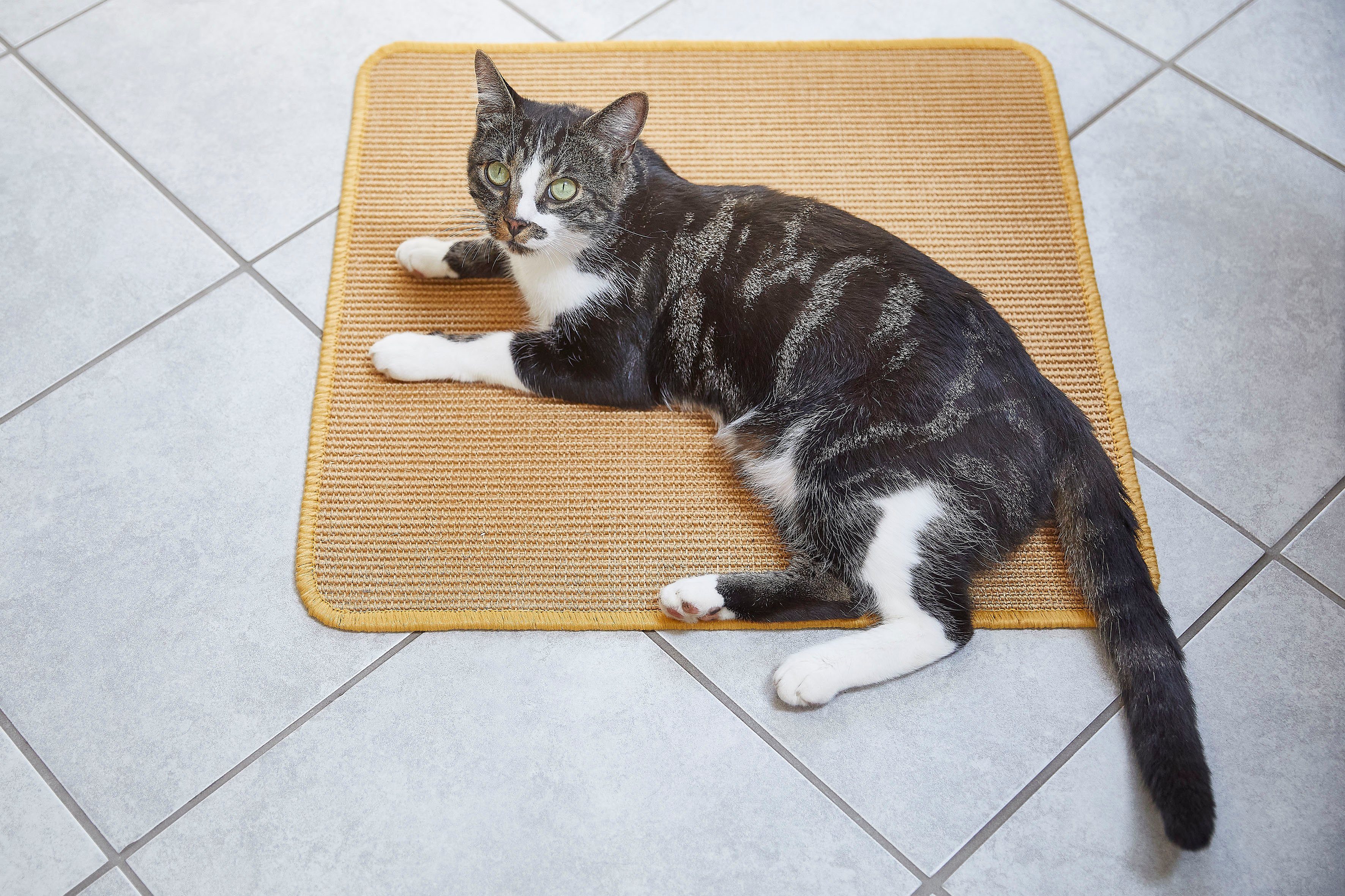 Pets Club Krabmat Katten-Krabspeelmat Sisal Krabtapijt, van 100% sisal, in verschillende maten verkrijgbaar