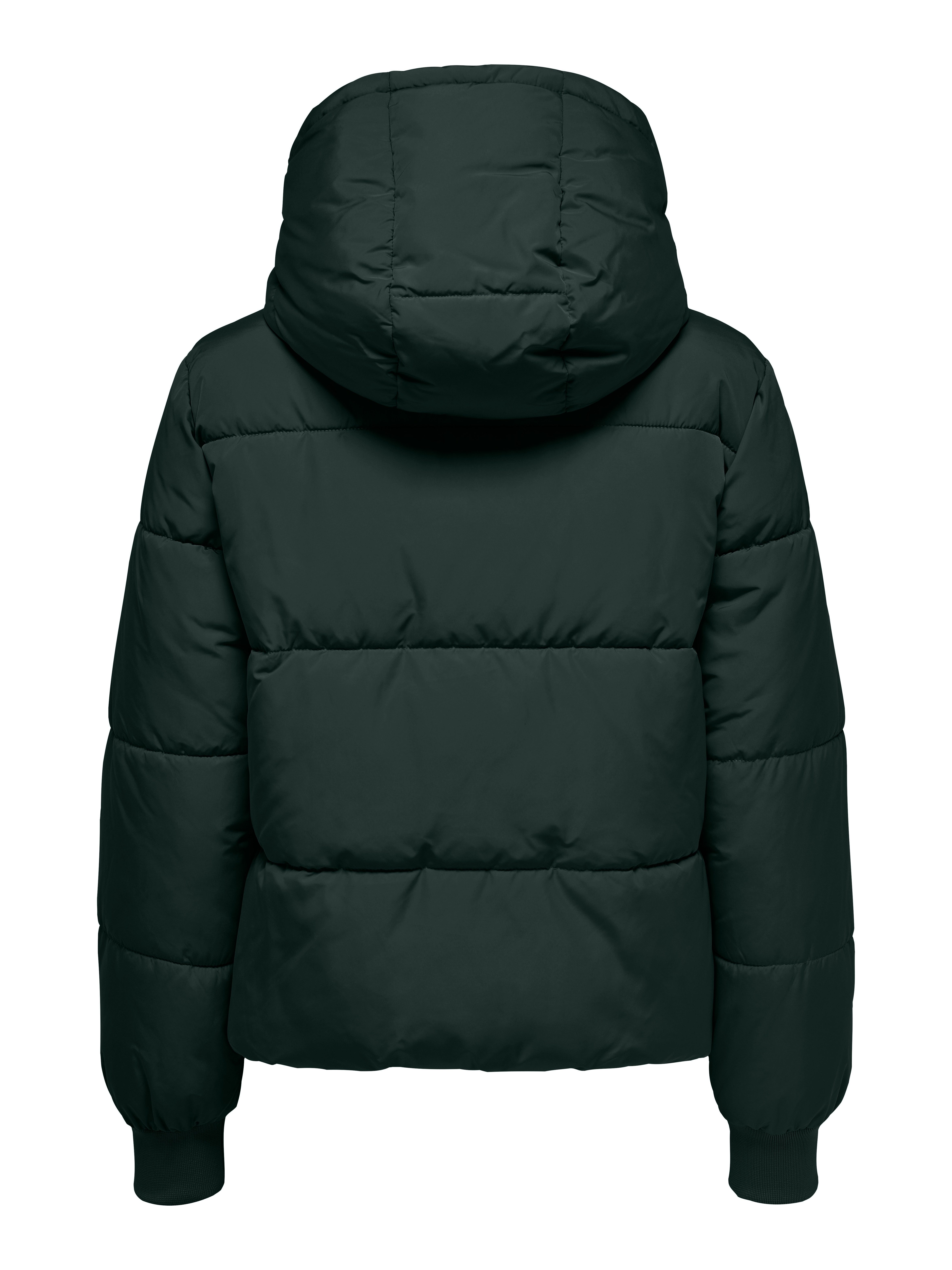 JDY Gewatteerde jas JDYNEWERICA LIFE SHORT HOOD JKT OTW NOOS