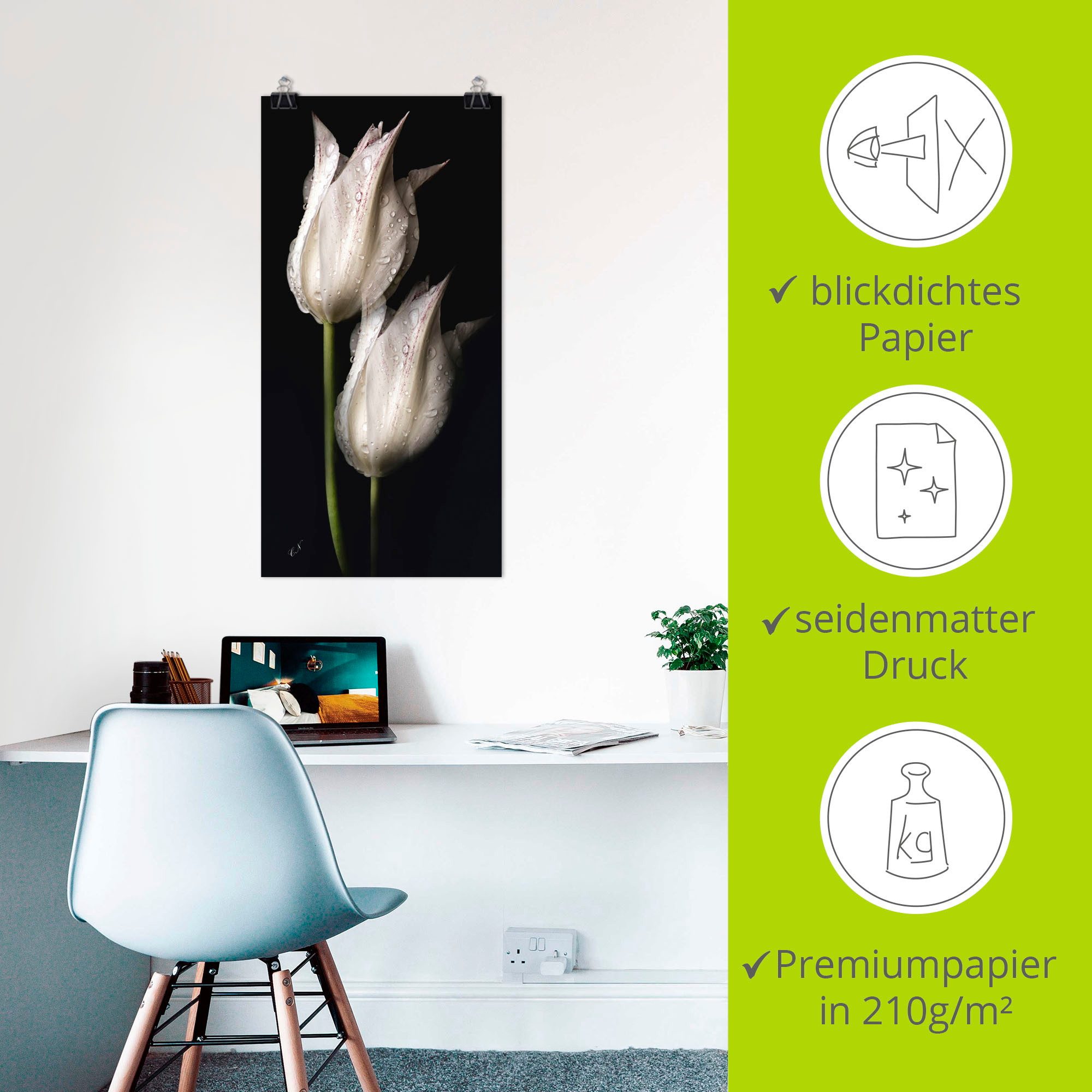 Artland Artprint Witte tulpen in de nacht als artprint van aluminium, artprint voor buiten, artprint op linnen, poster, muursticker