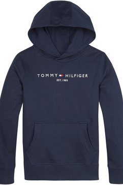 tommy hilfiger hoodie blauw