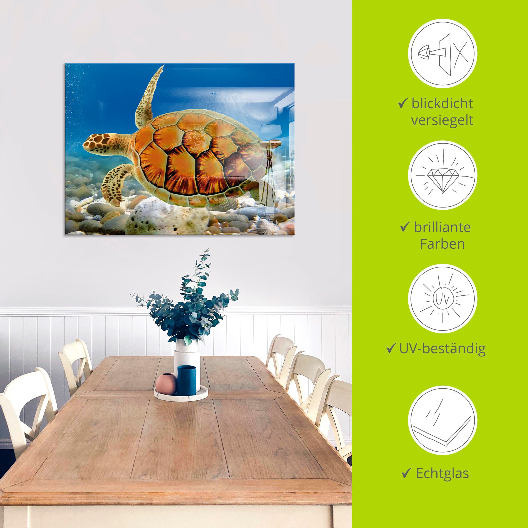 Artland Print op glas Schildpad in verschillende maten