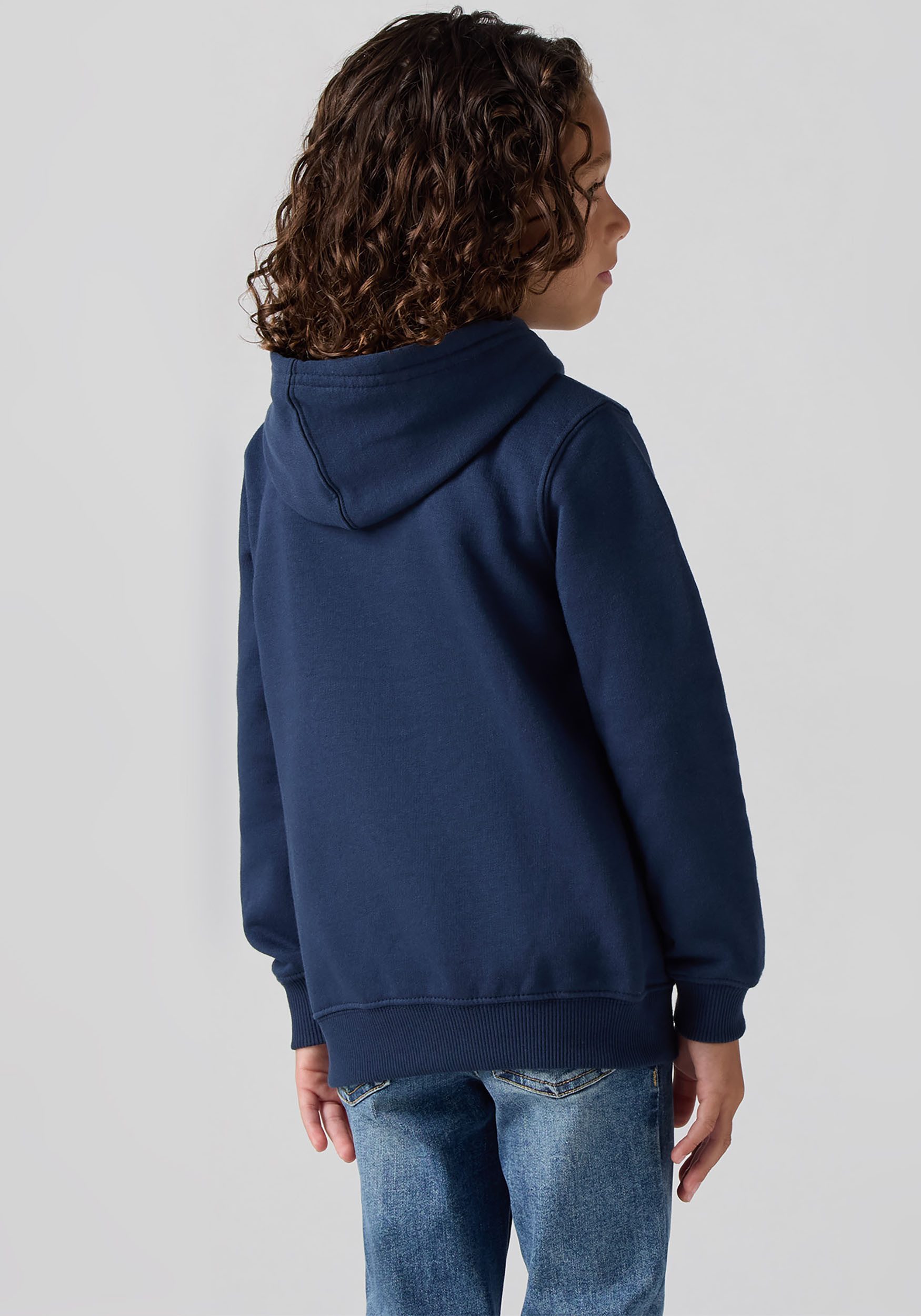 Levi's Kidswear Hoodie LVB MINI BATWING PULL OVER HOO