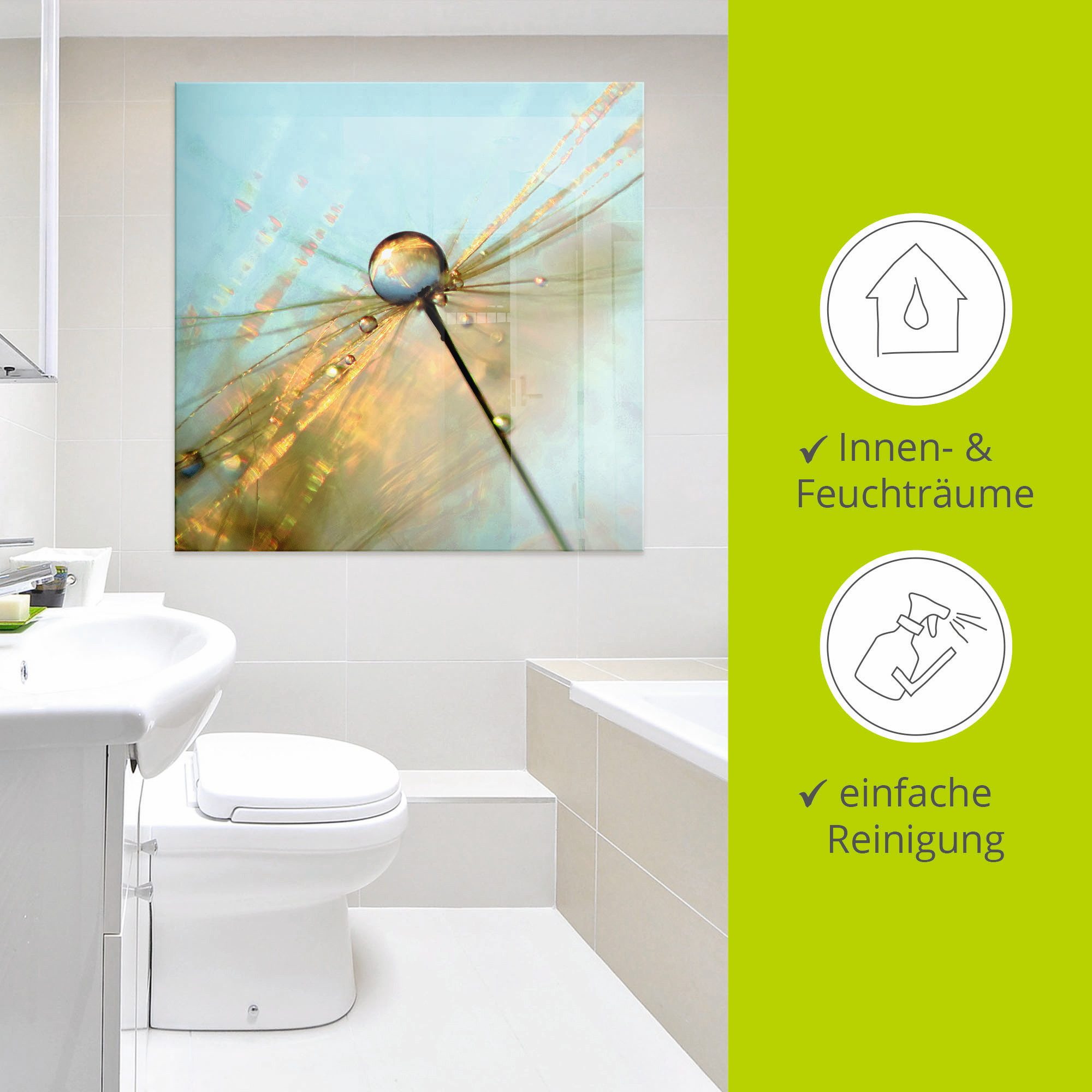 Artland Print op glas Paardebloem dauwdruppels II