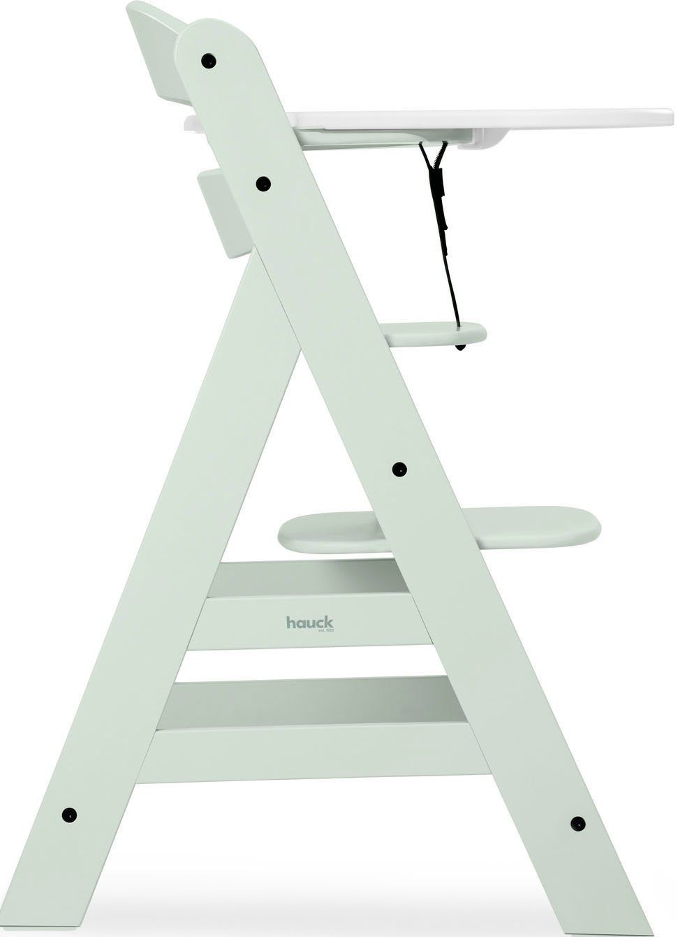 Hauck Kinderstoel Alpha+, Mint FSC®- beschermt bos - wereldwijd