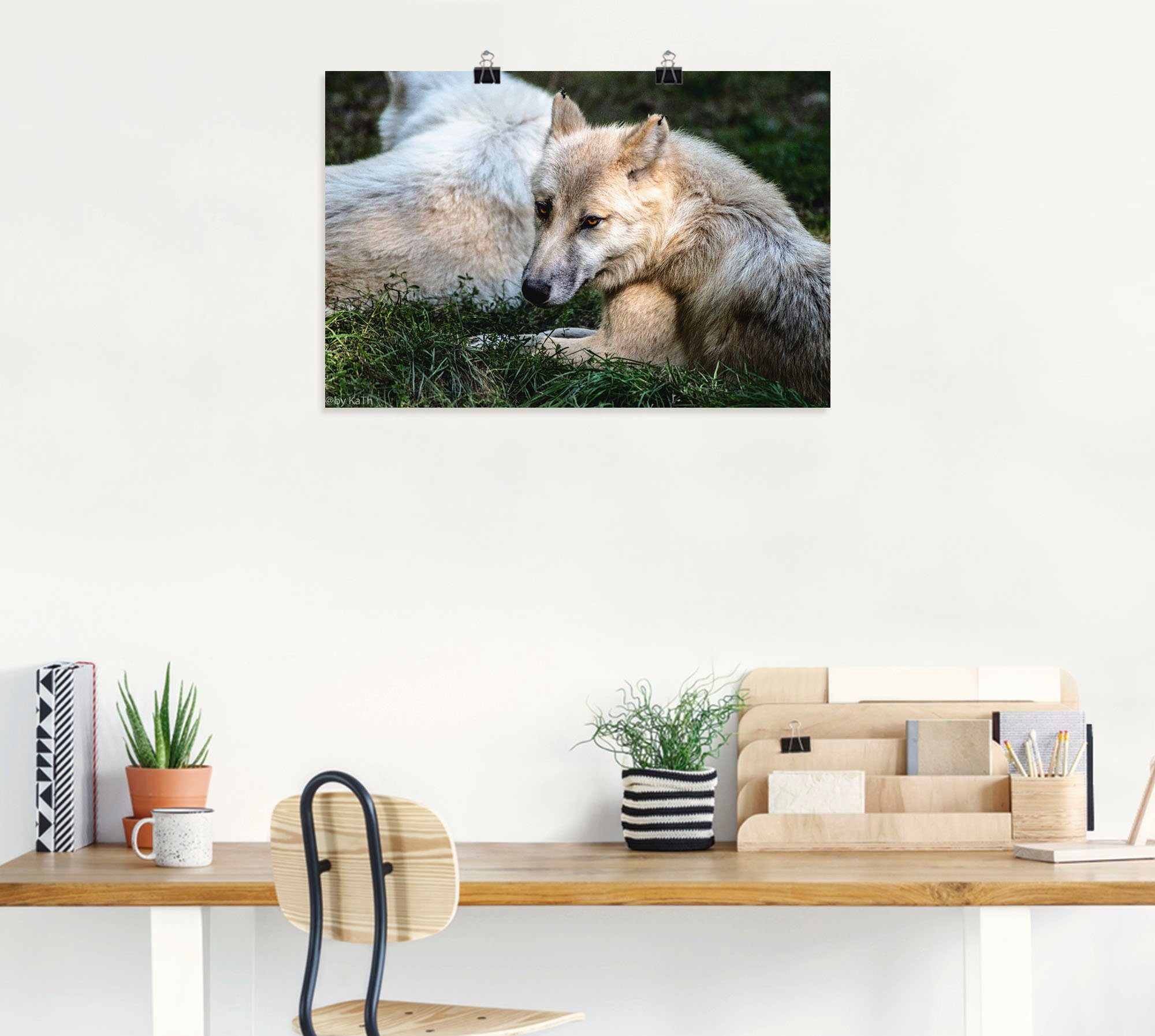 Artland Artprint Wolf II als artprint van aluminium, artprint op linnen, muursticker of poster in verschillende maten
