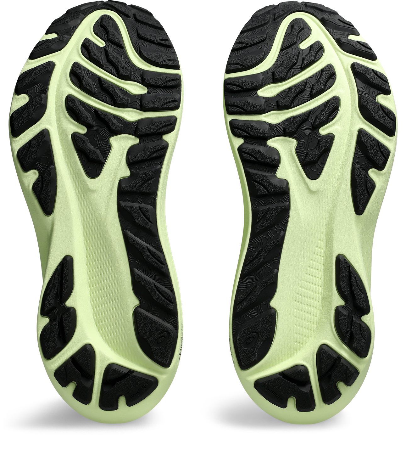 Asics Runningschoenen GT-2000 12 Gore-Tex voor meer stabiliteit, waterdicht