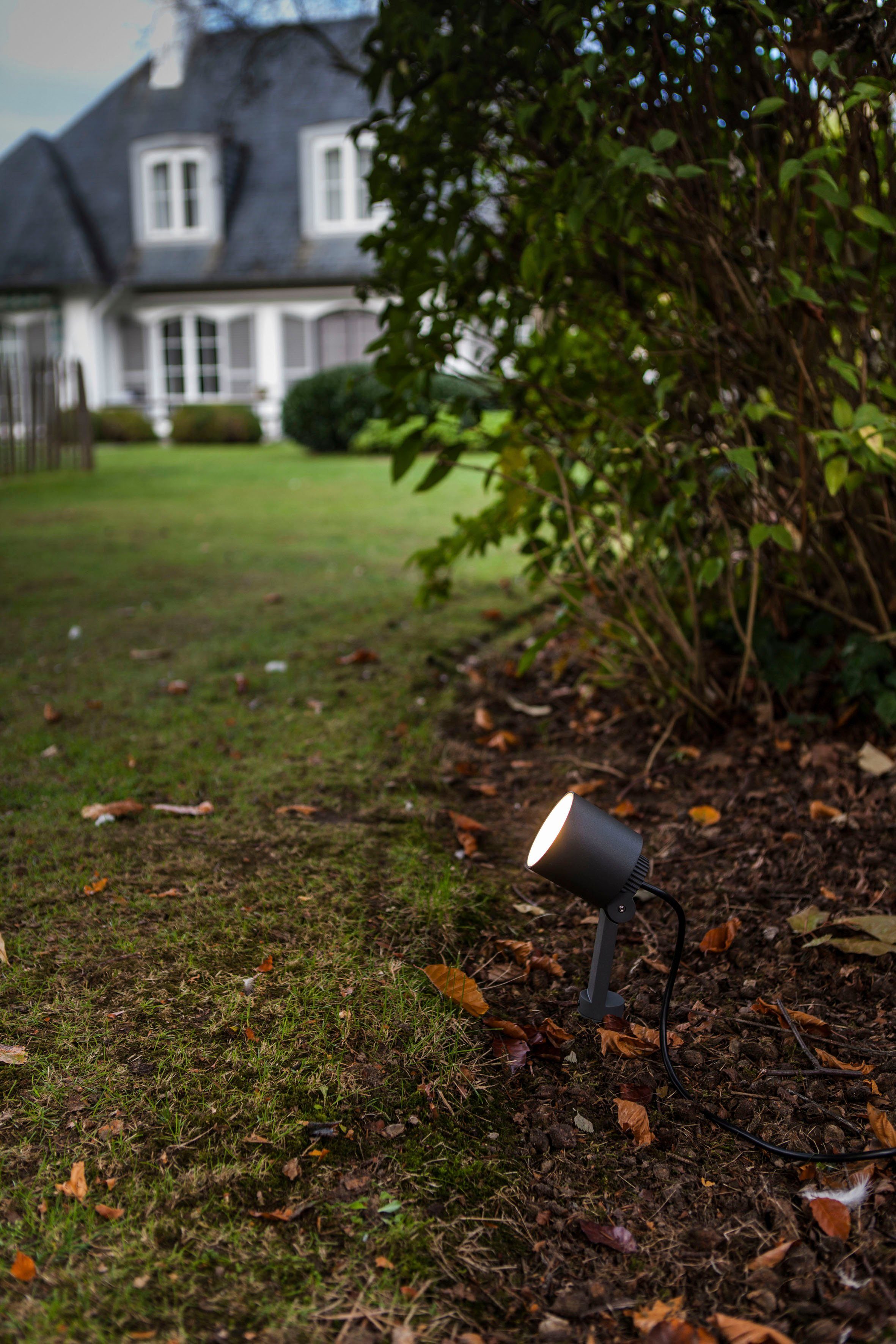 LUTEC Ledwandlamp voor buiten Explorer (1 stuk)