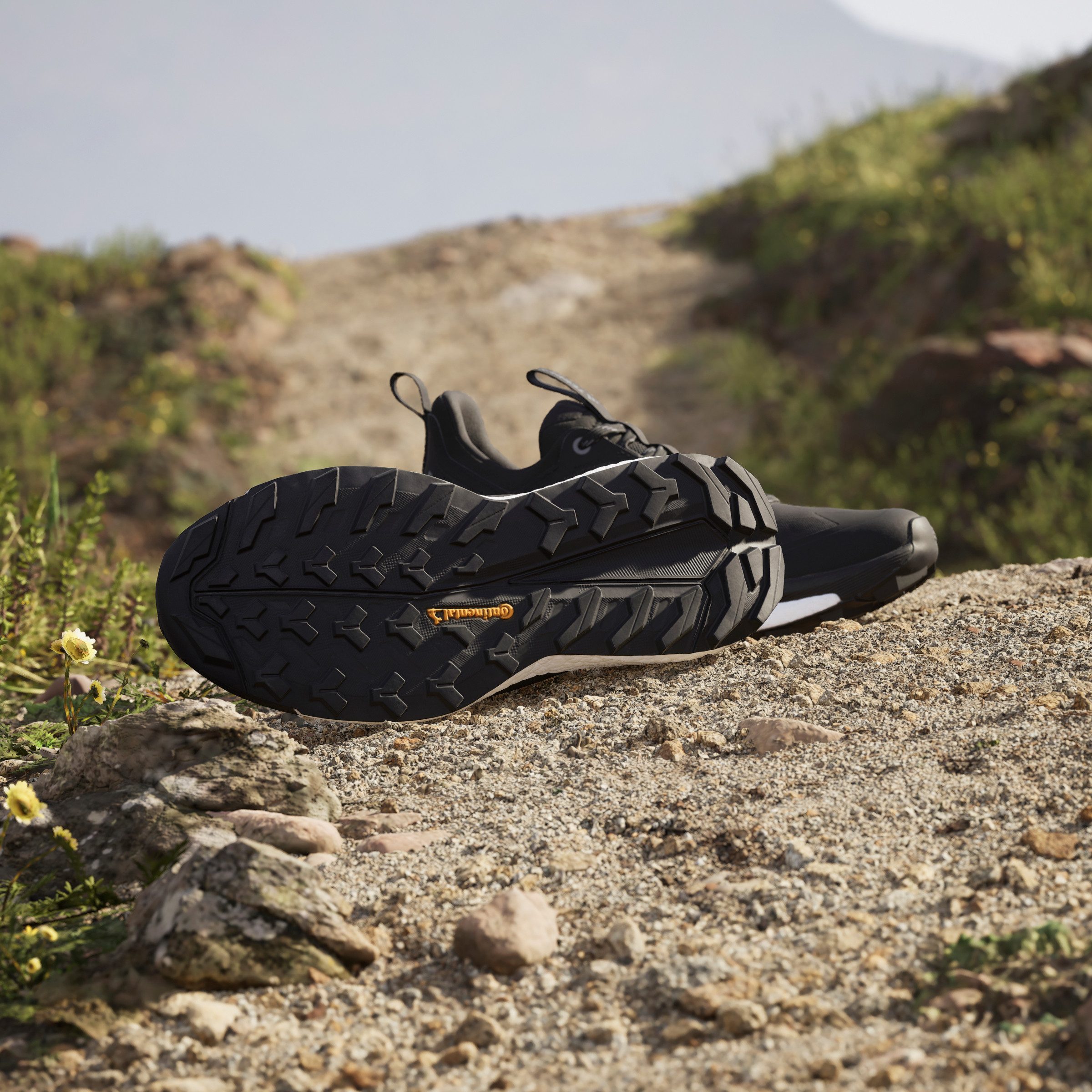 adidas TERREX Wandelschoenen TERREX FREE HIKER 2.0 LOW