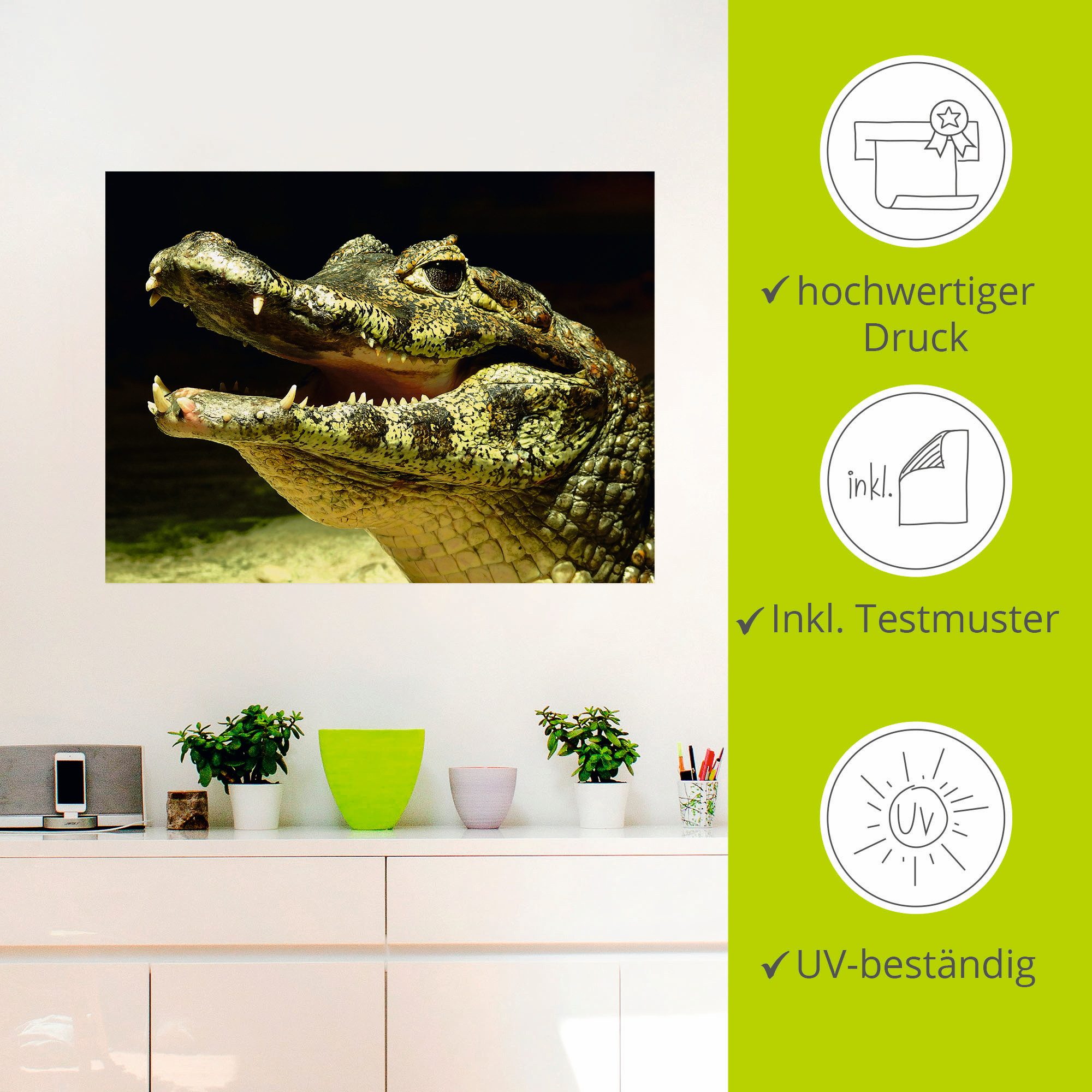 Artland Artprint Een glimlachende krokodil als poster, muursticker in verschillende maten
