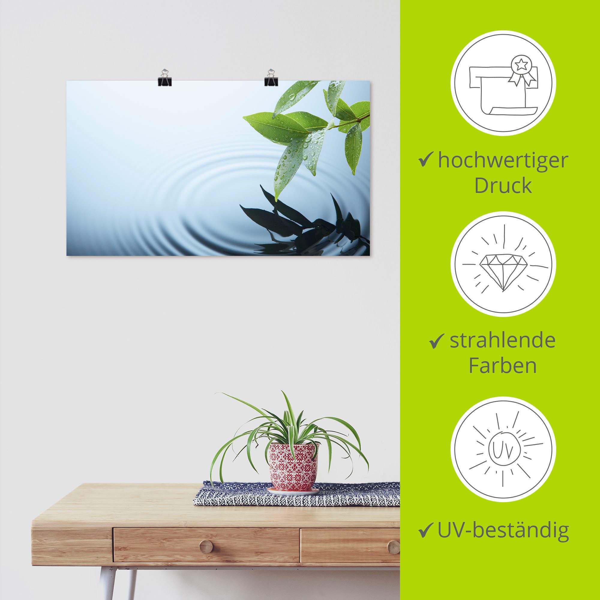 Artland Poster Plant en water als artprint van aluminium, artprint op linnen, muursticker of poster in verschillende maten