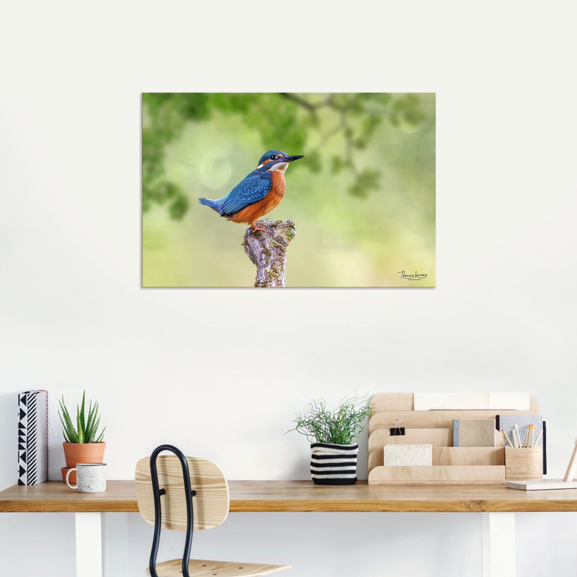 Artland Aluminium dibond print Ijsvogel II