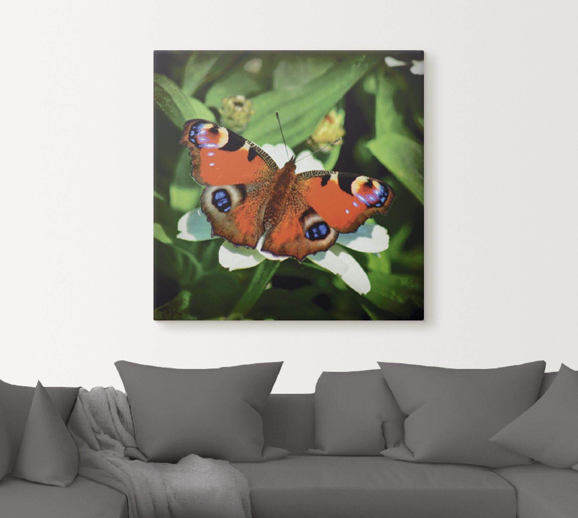 Artland Artprint Dagpauwoog als artprint op linnen, poster in verschillende formaten maten