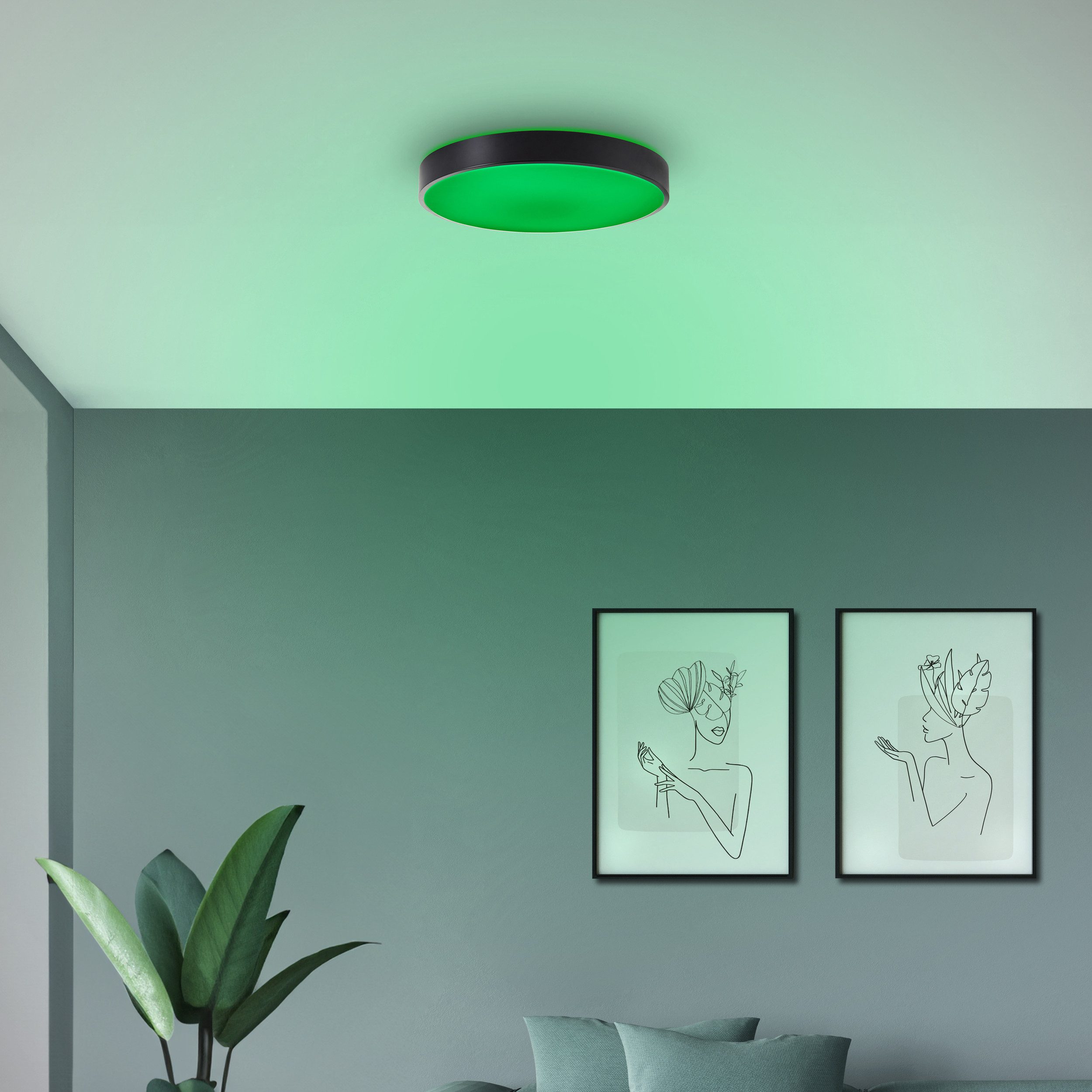 Brilliant Leuchten Led-plafondlamp VADIN Smart home lamp, Ø 49 cm, 3000-6500 K, 3500 lm, RGB, dimbaar
