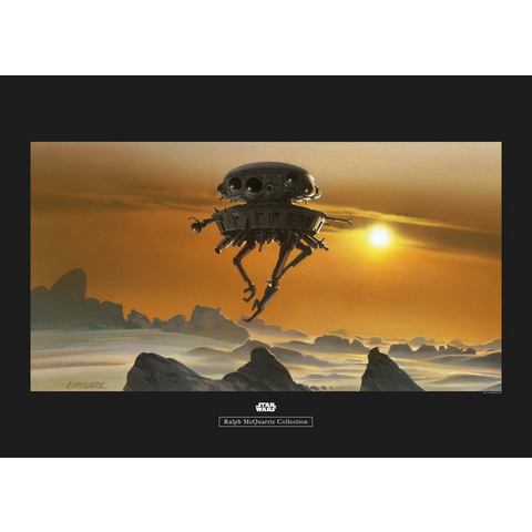 Komar wanddecoratie Star Wars Classic RMQ Hoth Probe Droid, zonder lijst