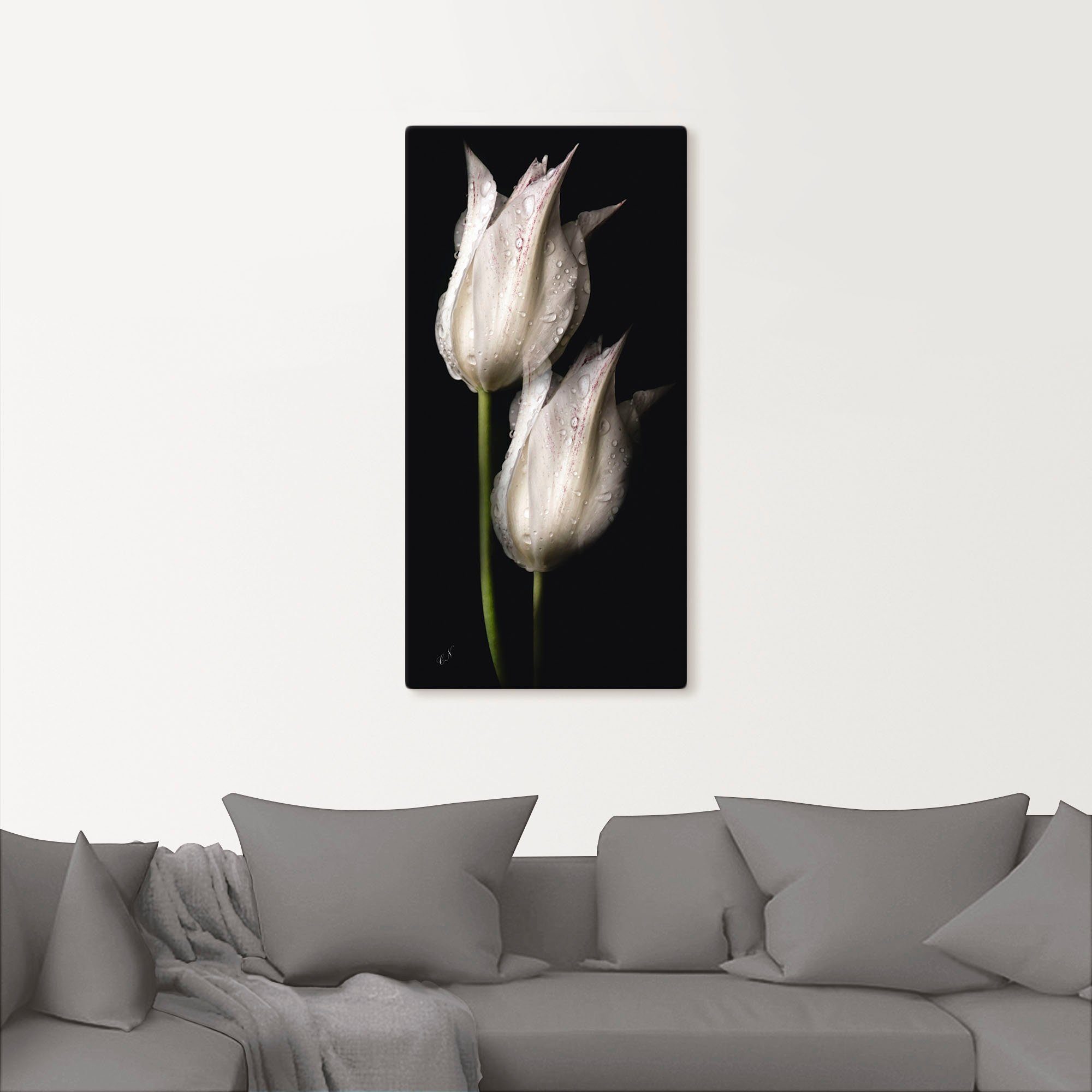 Artland Artprint Witte tulpen in de nacht als artprint van aluminium, artprint voor buiten, artprint op linnen, poster, muursticker