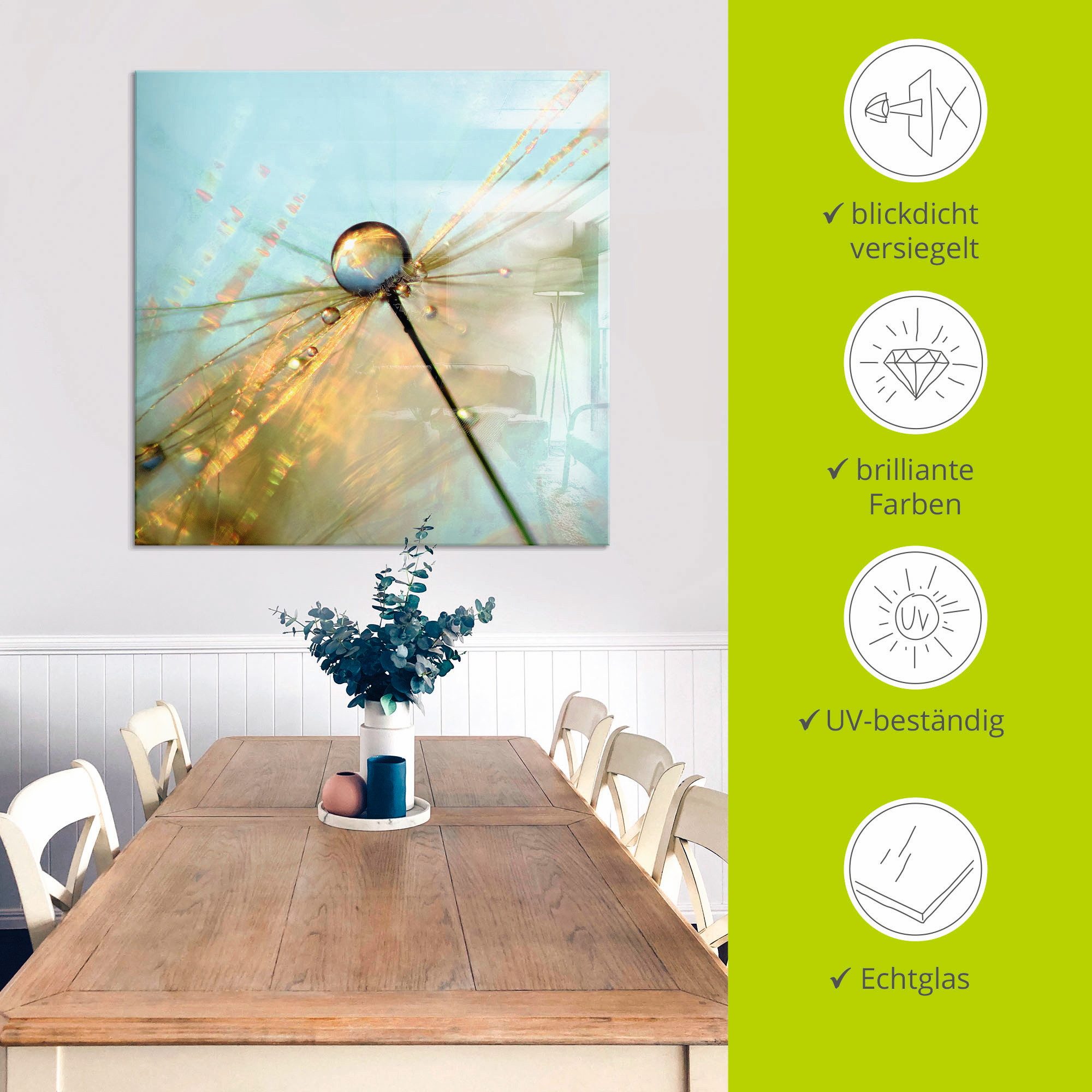 Artland Print op glas Paardebloem dauwdruppels II