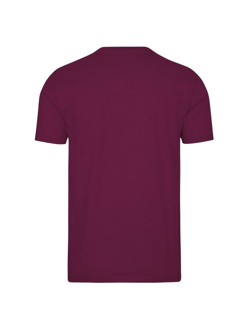 Trigema T-shirt Trigema T-shirt DELUXE katoen (1-delig)