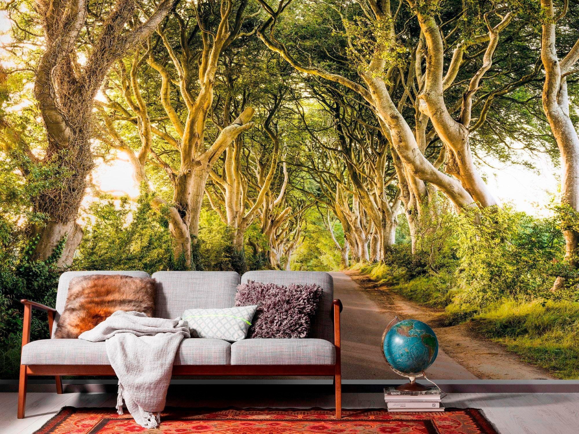 Komar Vliesbehang Digitale print vlies - Golden Hedges - Afmeting 400 x 250 cm (1 stuk)