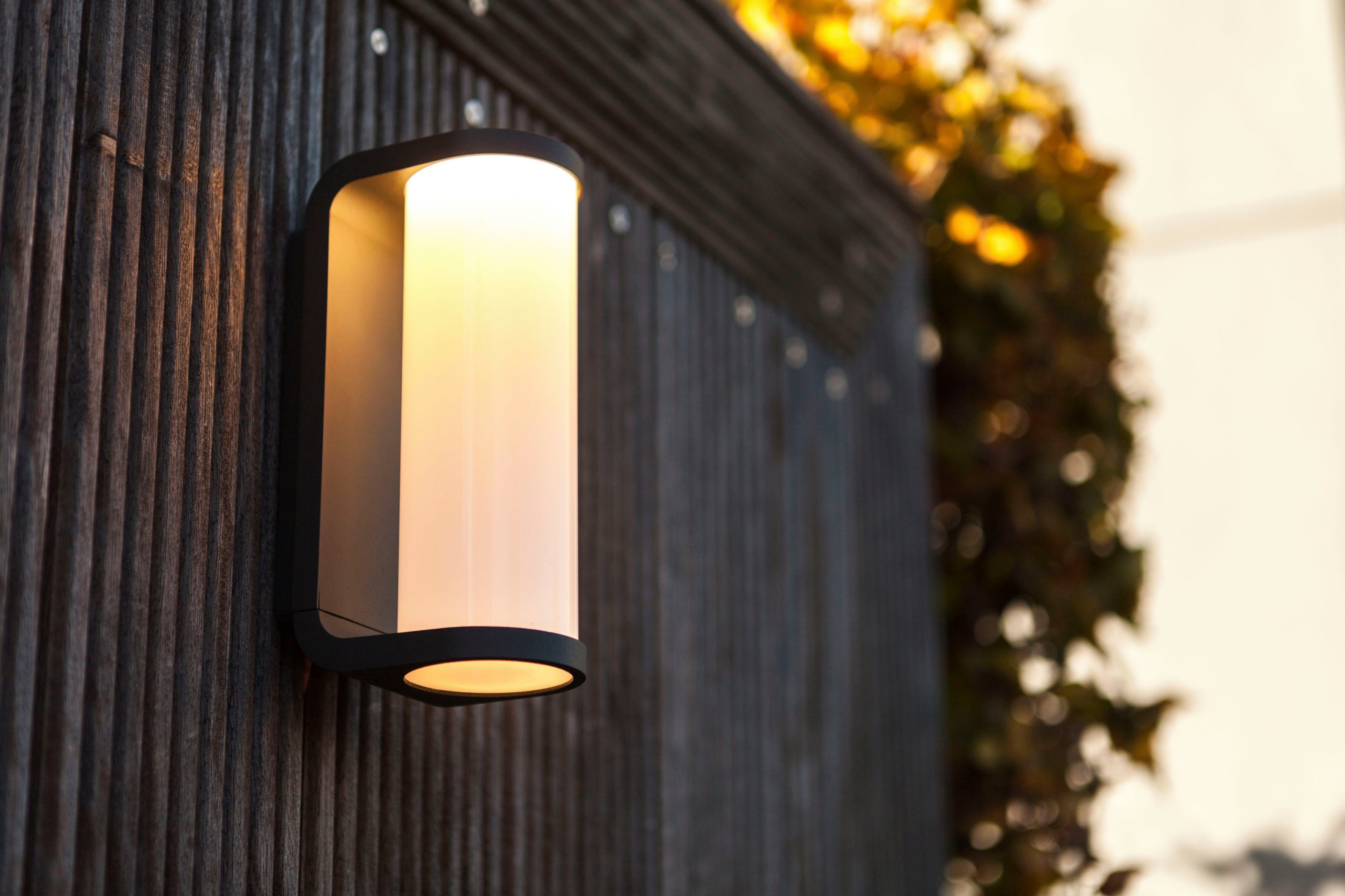 LUTEC Ledwandlamp voor buiten Helene (1 stuk)
