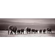 reinders! artprint op hout decoratief paneel 52x156 line of elephants zwart