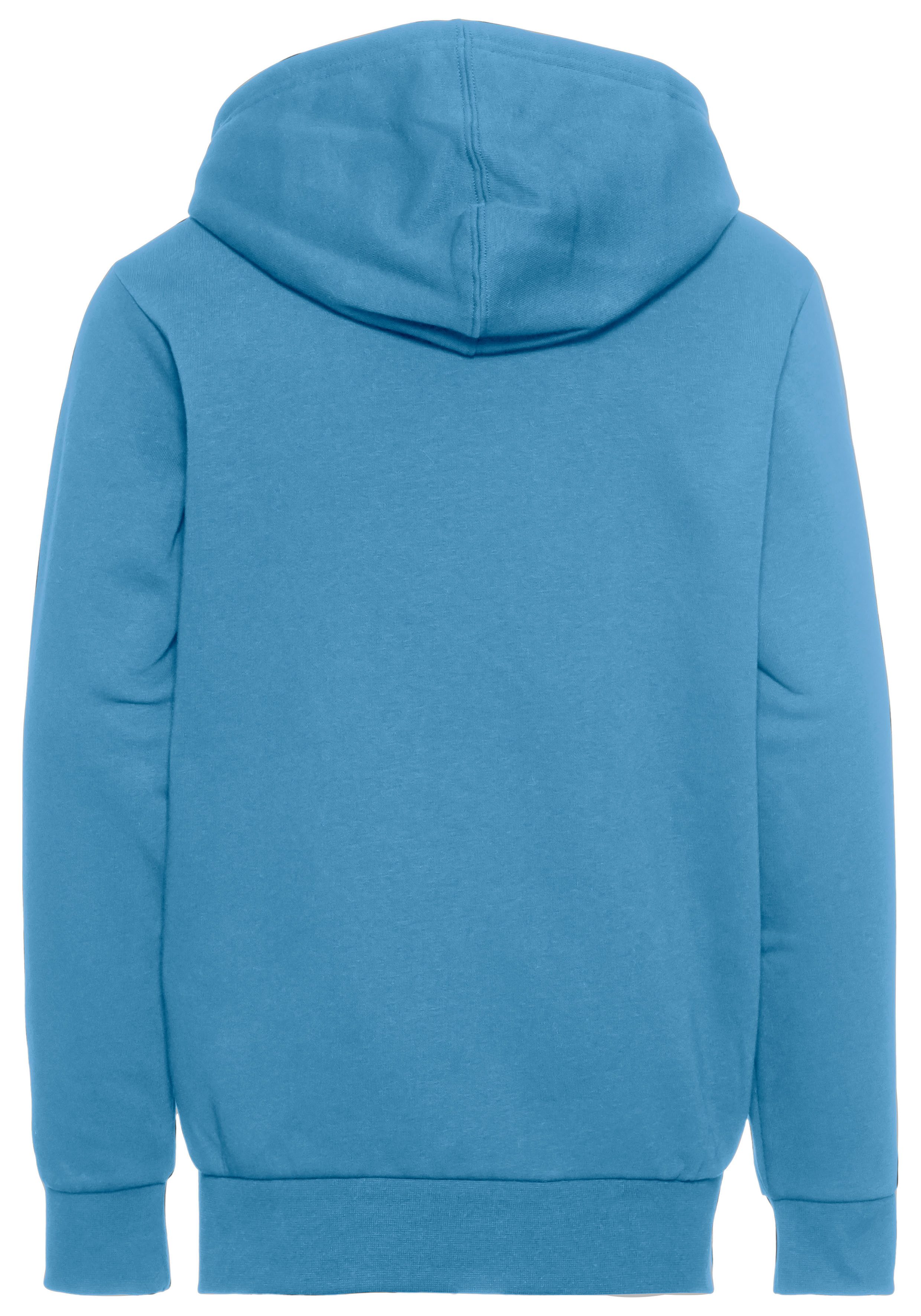 Champion Hoodie HOODED sweatshirt