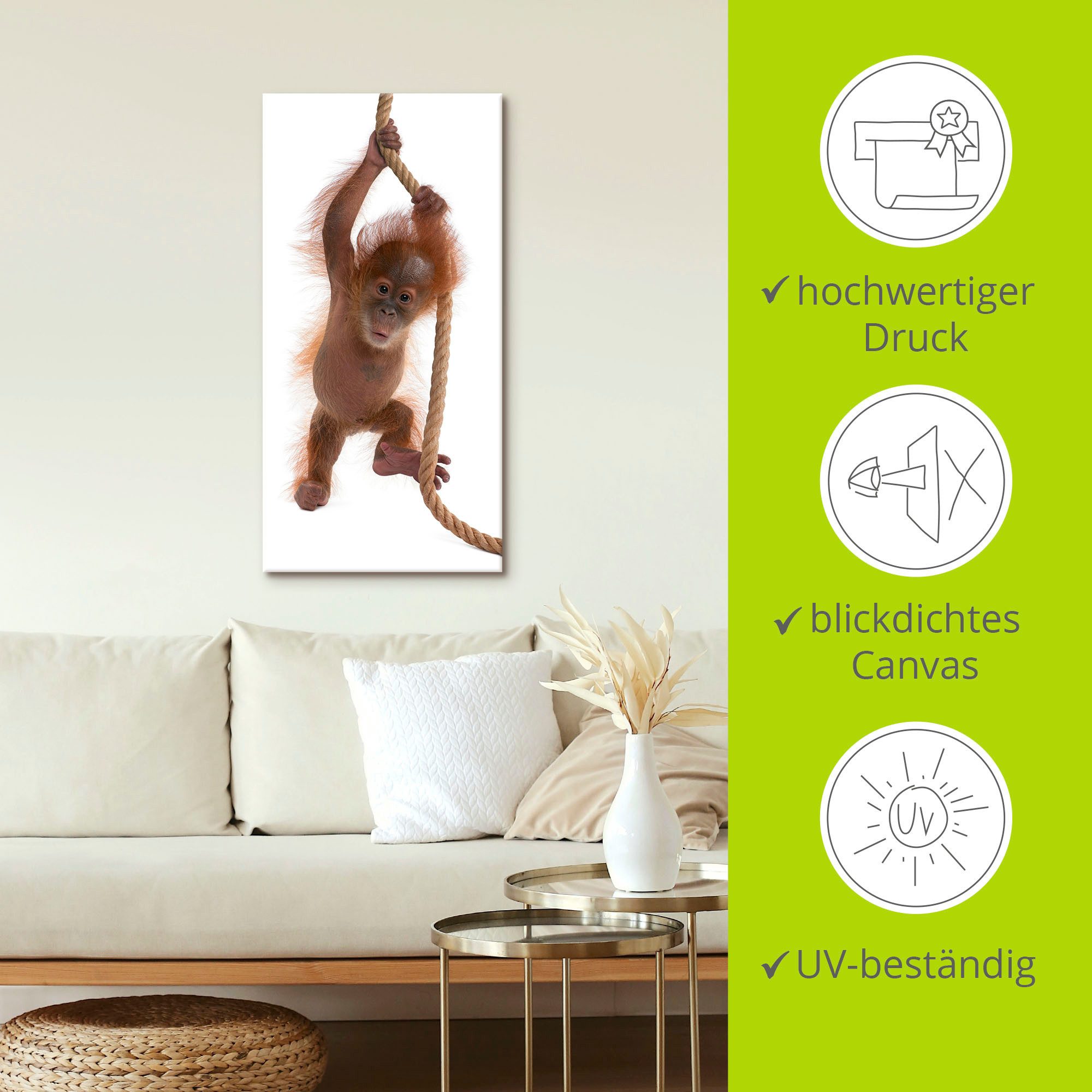 Artland Artprint Baby orang oetan hangt aan het touw I als artprint van aluminium, artprint op linnen, muursticker of poster in verschillende maten