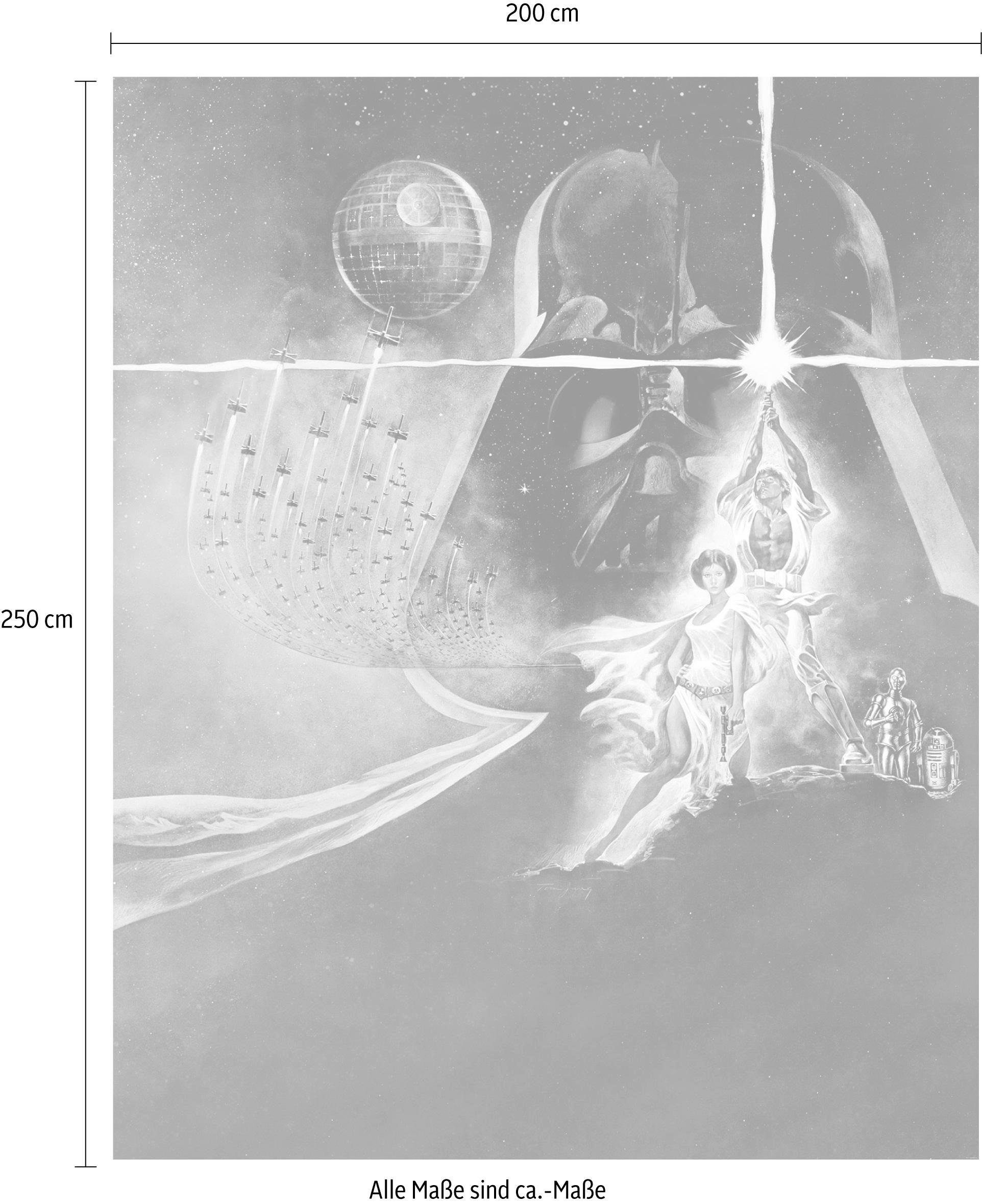 Komar Vliesbehang Digitale print vlies - Star Wars Poster Classic2 - Afmeting 200 x 250 cm (1 stuk)