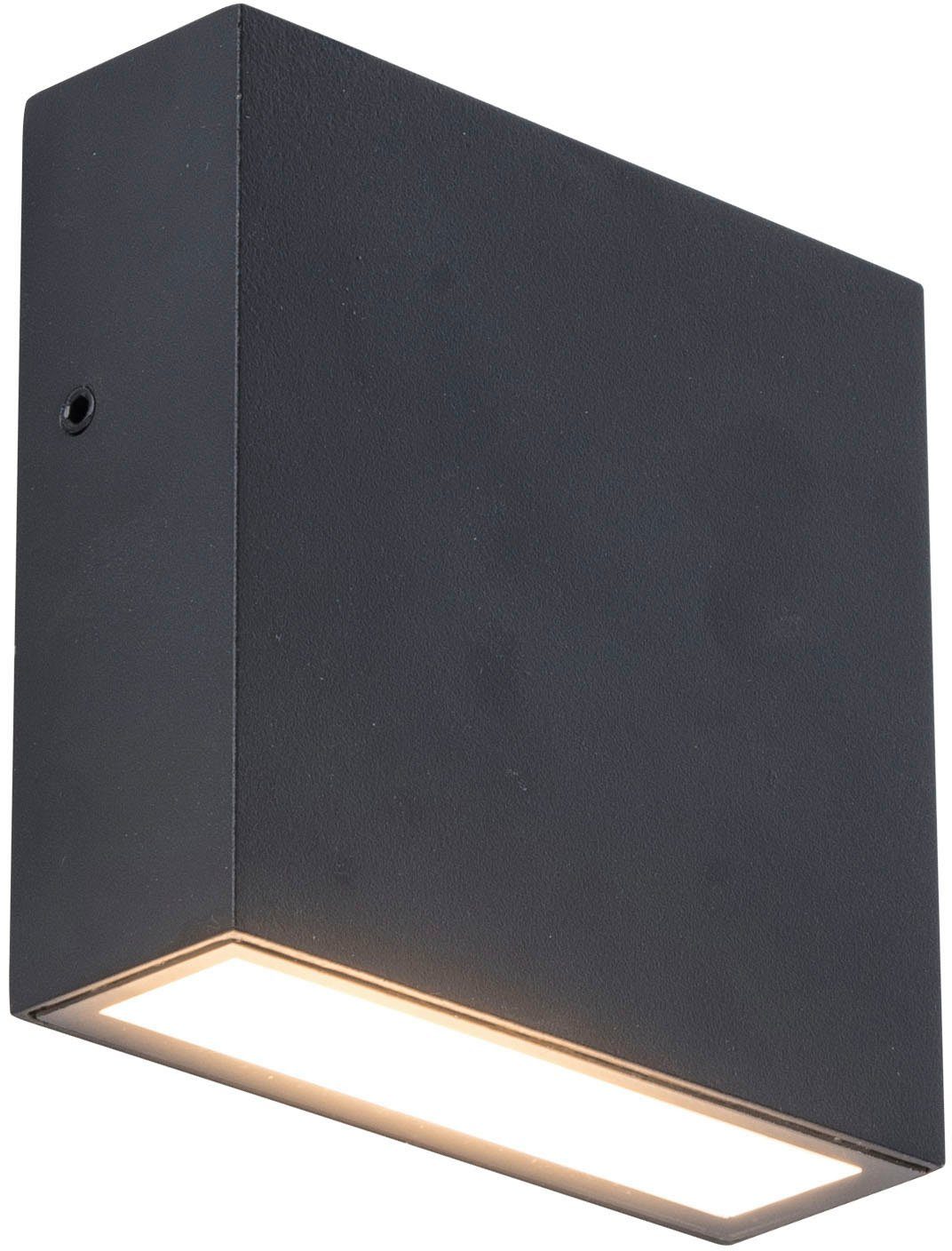 LUTEC Ledwandlamp voor buiten GEMINI XF (1 stuk)