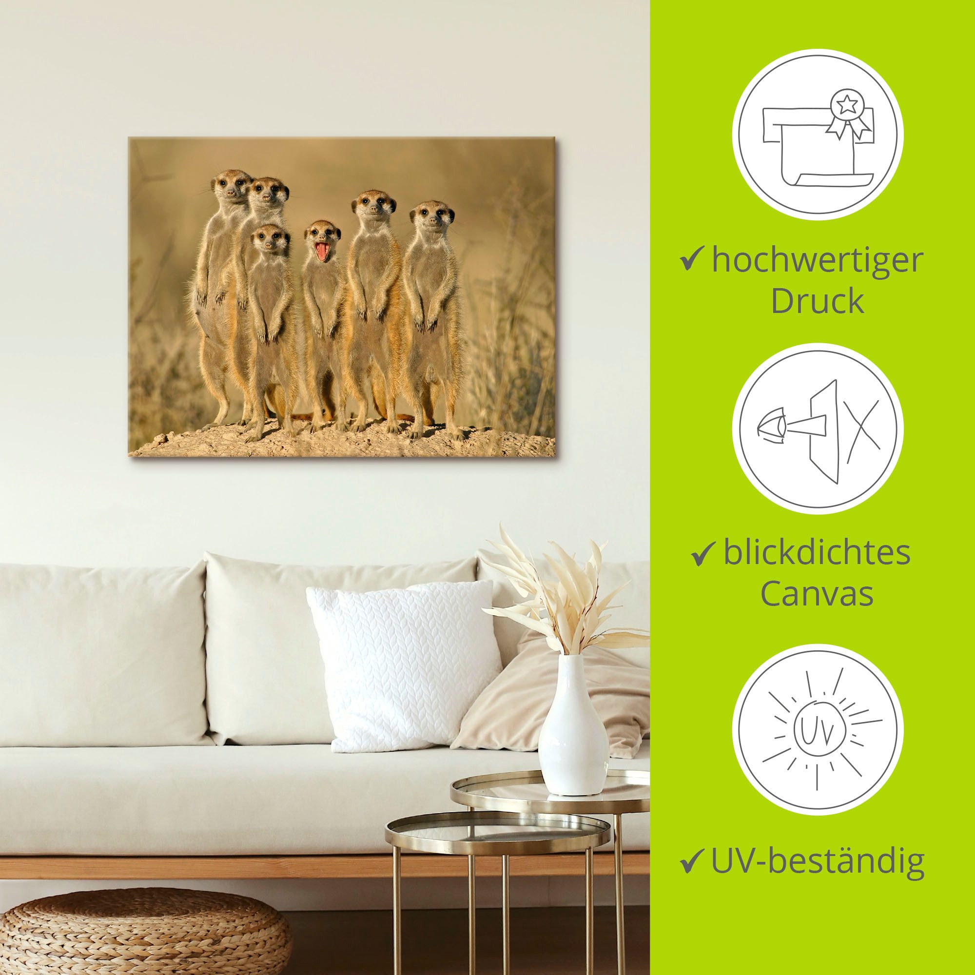 Artland Artprint Stokstaartjes familie als artprint van aluminium, artprint voor buiten, artprint op linnen, poster, muursticker