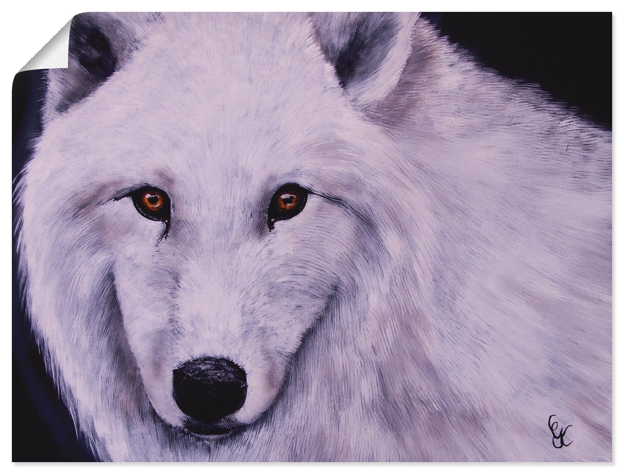 Artland Artprint Witte wolf in vele afmetingen & productsoorten - artprint van aluminium / artprint voor buiten, artprint op linnen, poster, muursticker / wandfolie ook geschikt vo