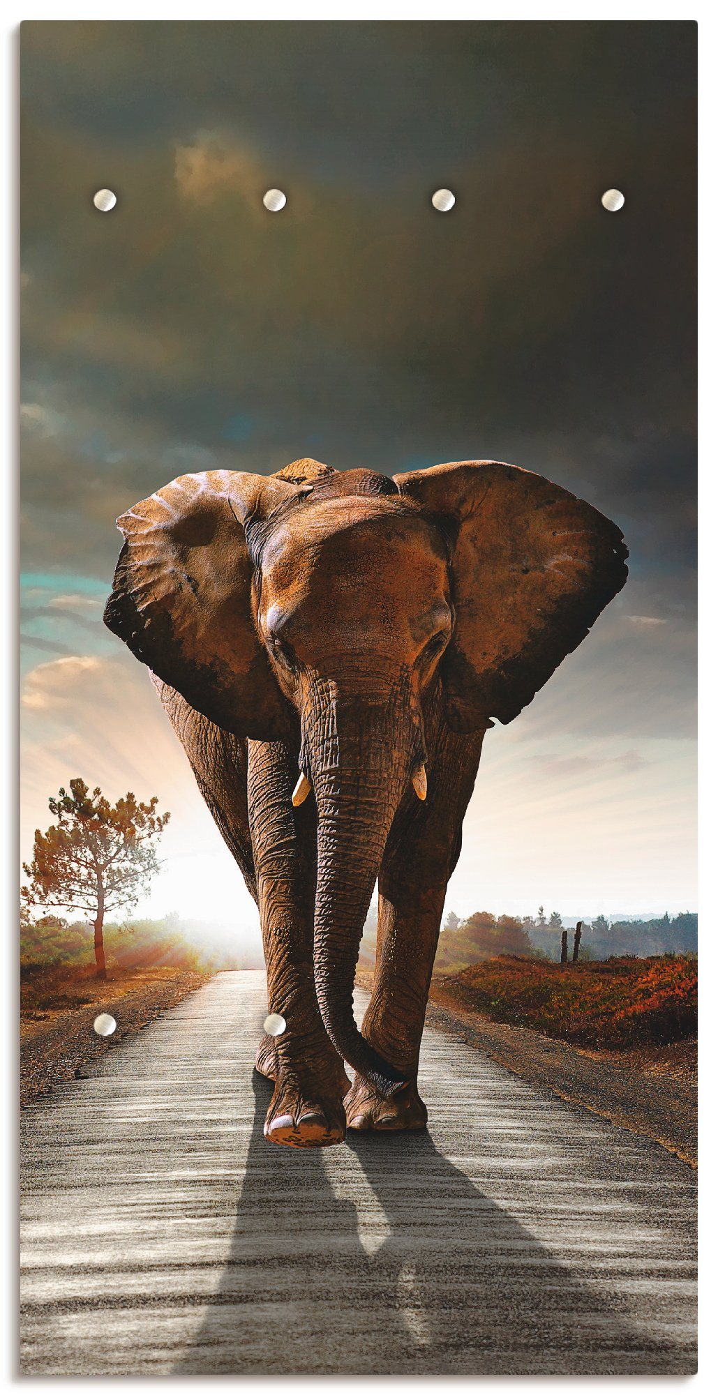 Prominent Manieren Methode Artland Kapstok Een olifant loopt op de weg gedeeltelijk gemonteerd online  bij | OTTO