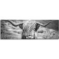 reinders! artprint highlander stier diermotief - close-up - schotse hooglander beeld (1 stuk) zwart