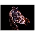 artland print op glas giraffen portret (1 stuk) multicolor