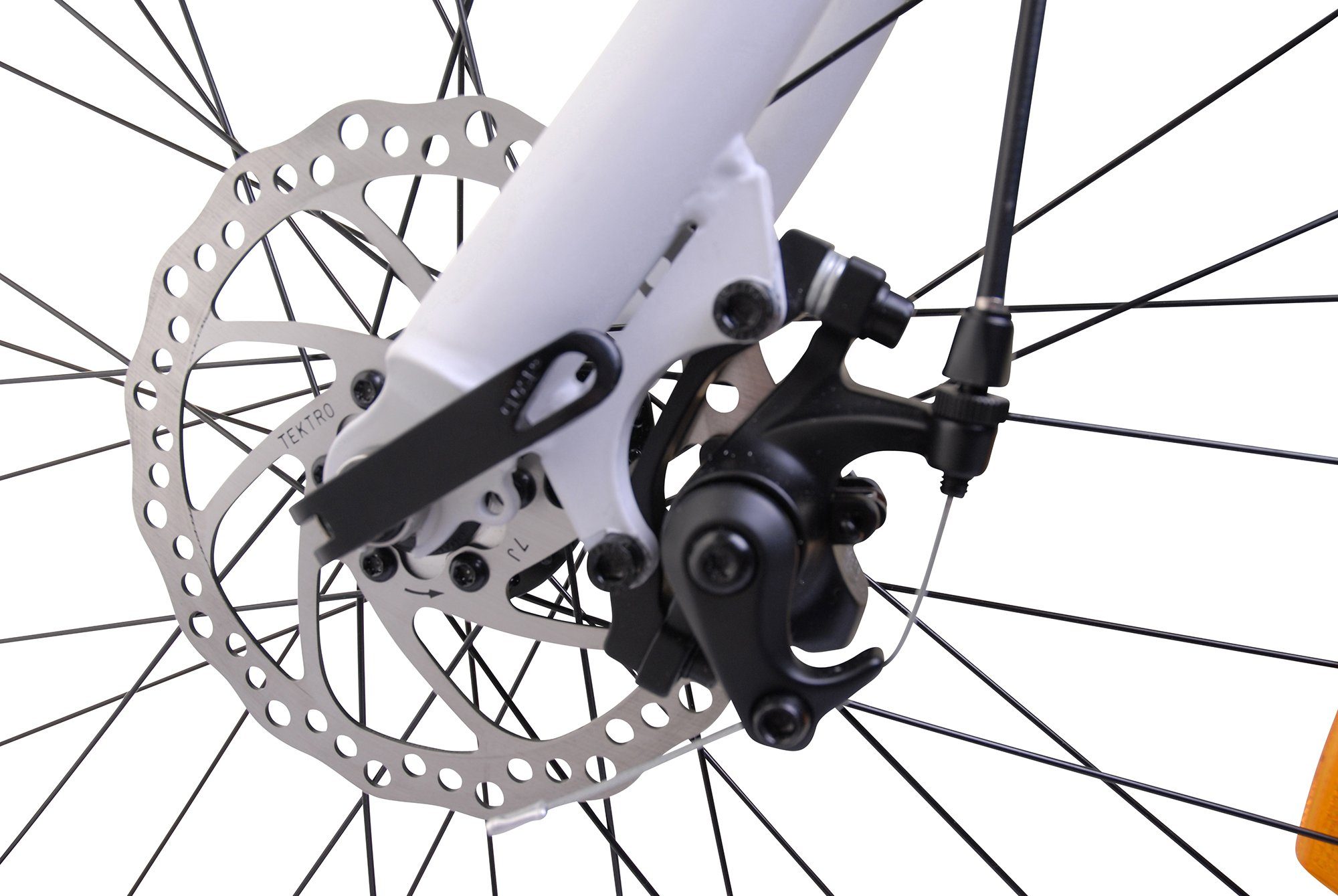 Llobe E-bike Voga Bianco Pedelec, elektrische fiets voor dames en heren