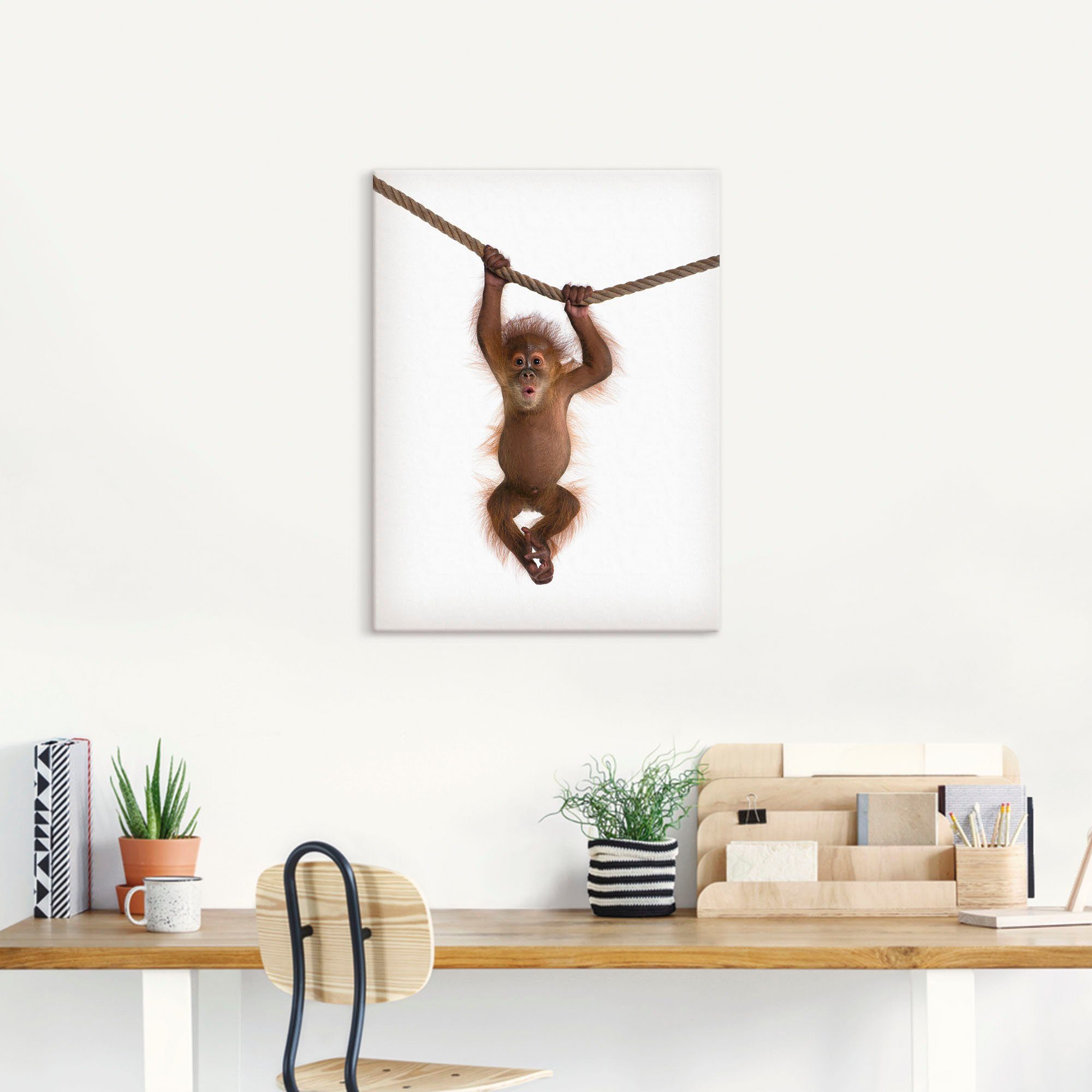 Artland Artprint Baby orang oetan hangt aan het touw II als artprint van aluminium, artprint voor buiten, artprint op linnen, poster, muursticker