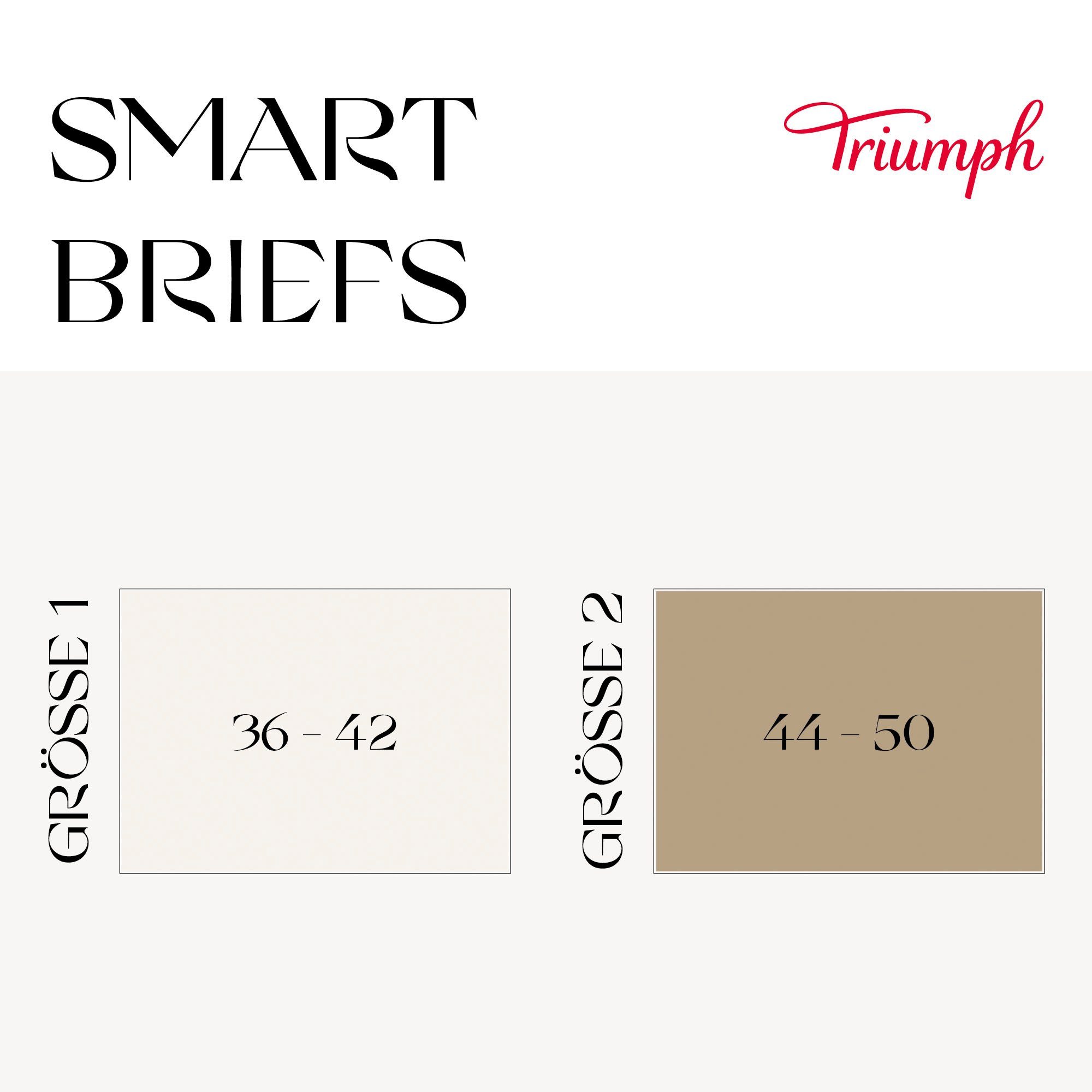 Triumph Maxislip Smart Natural Maxi EX 2P (2 stuks Set van 2)