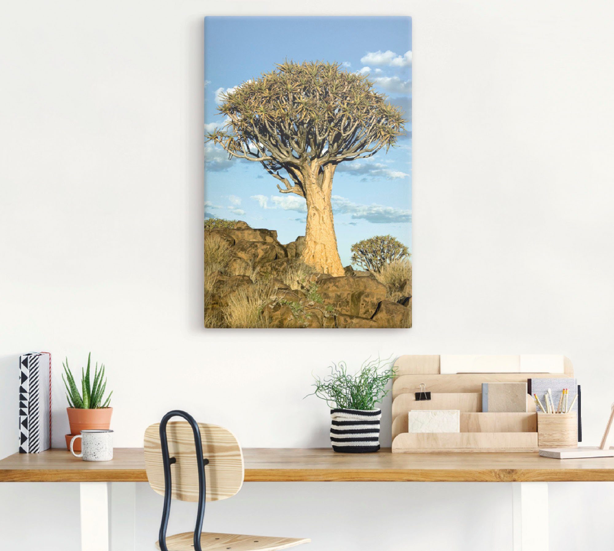 Artland Artprint Kokerboom als artprint van aluminium, artprint op linnen, muursticker of poster in verschillende maten
