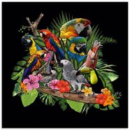 artland print op glas papegaaien grijze papegaai kaketoe jungle multicolor