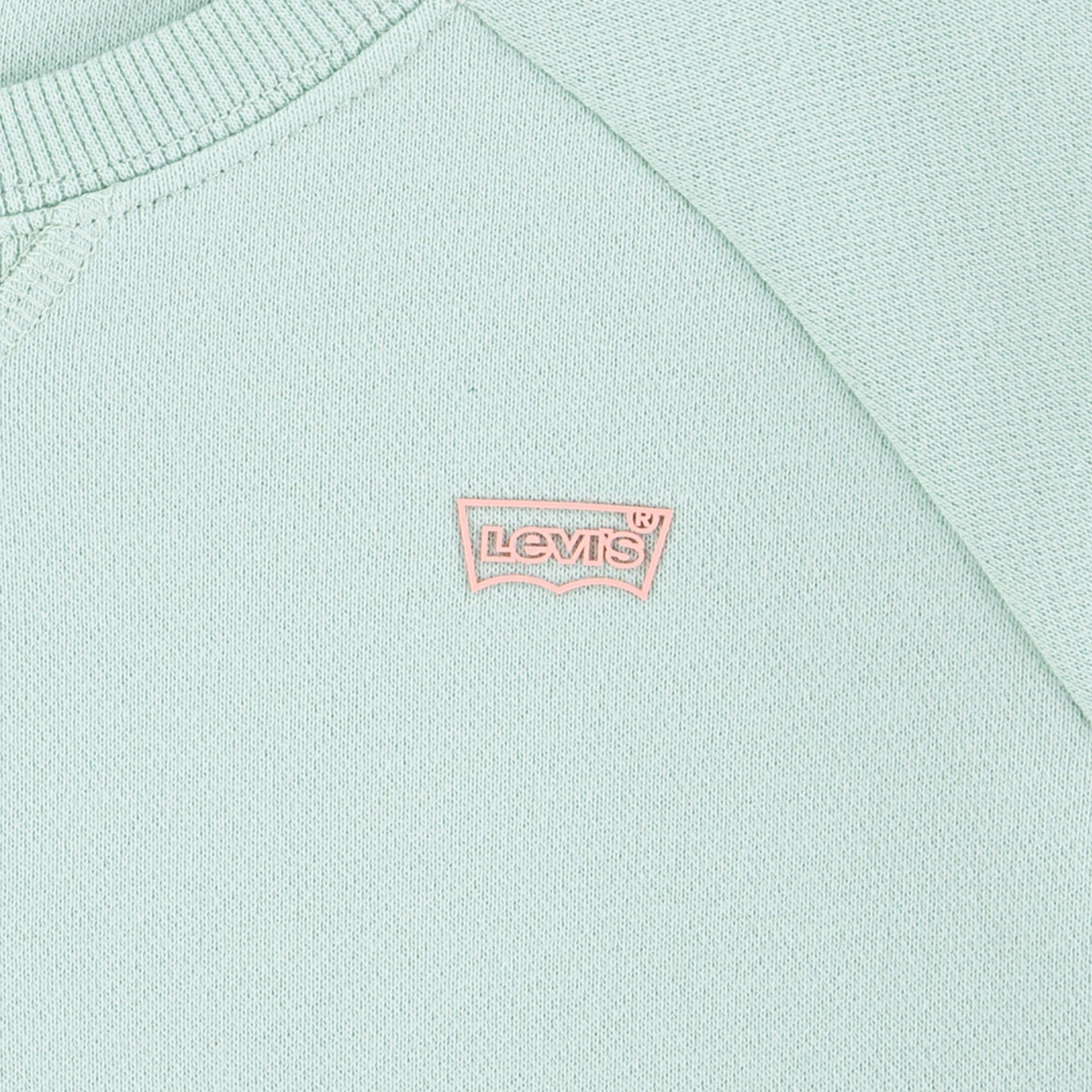 Levi's Kidswear Sweatshirt LVG LEVIS HD SILICONE BATWING