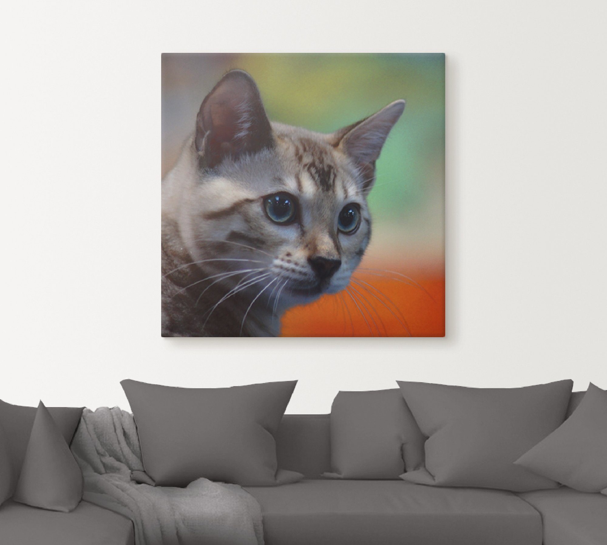 Artland Artprint Witte Bengaalse kat als artprint van aluminium, artprint op linnen, muursticker of poster in verschillende maten