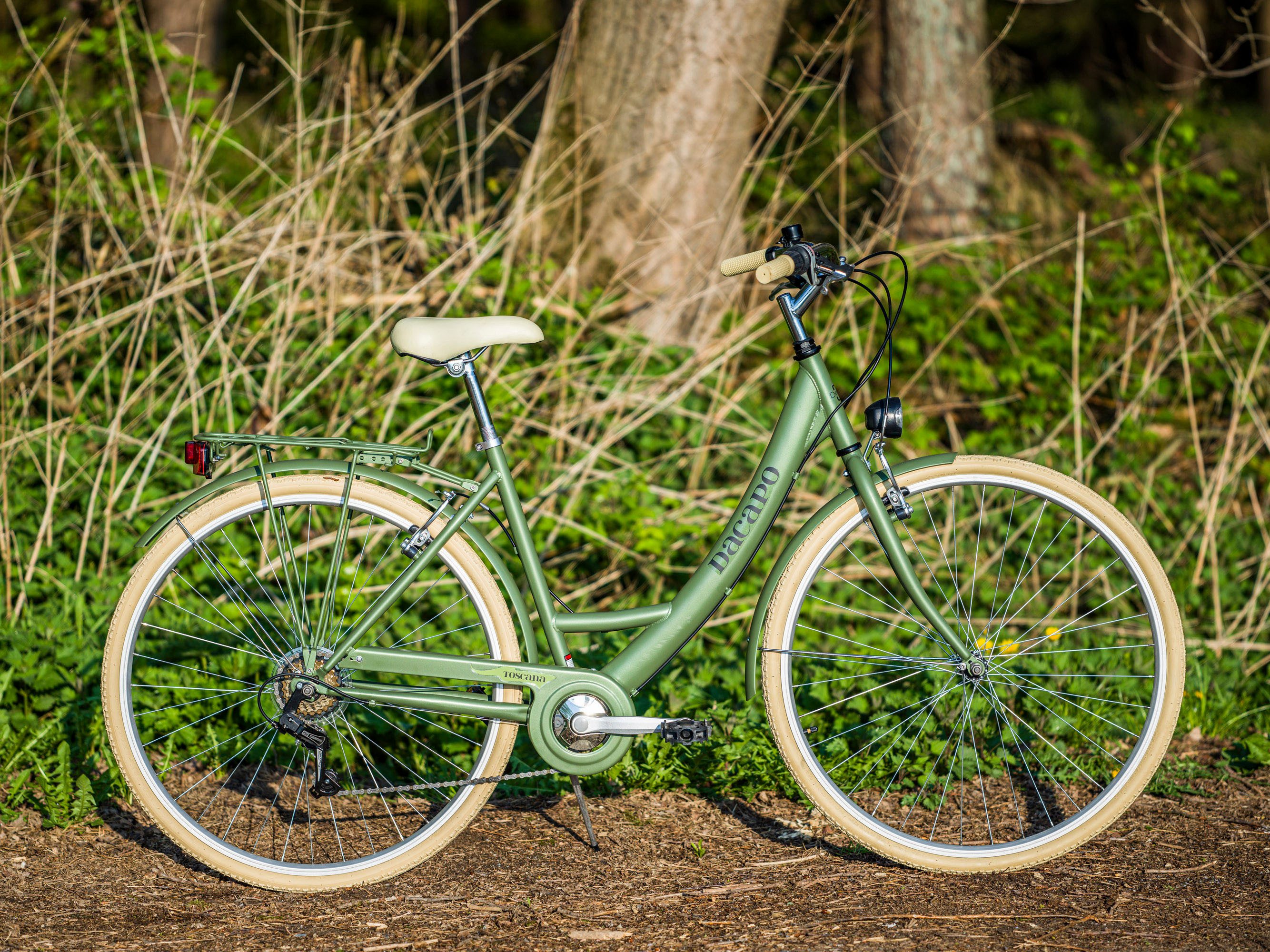 Dacapo Citybike Damesfiets 28'' Toscana groen Oregano 6 versnellingen RH 48 cm