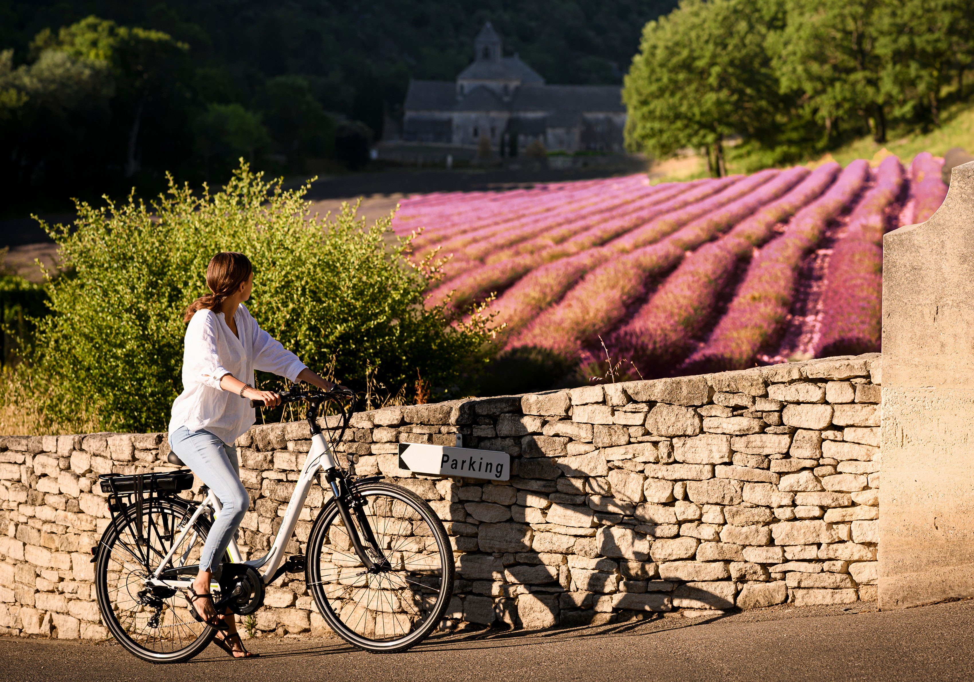 Adore E-bike Versailles Pedelec, elektrische fiets voor dames en heren