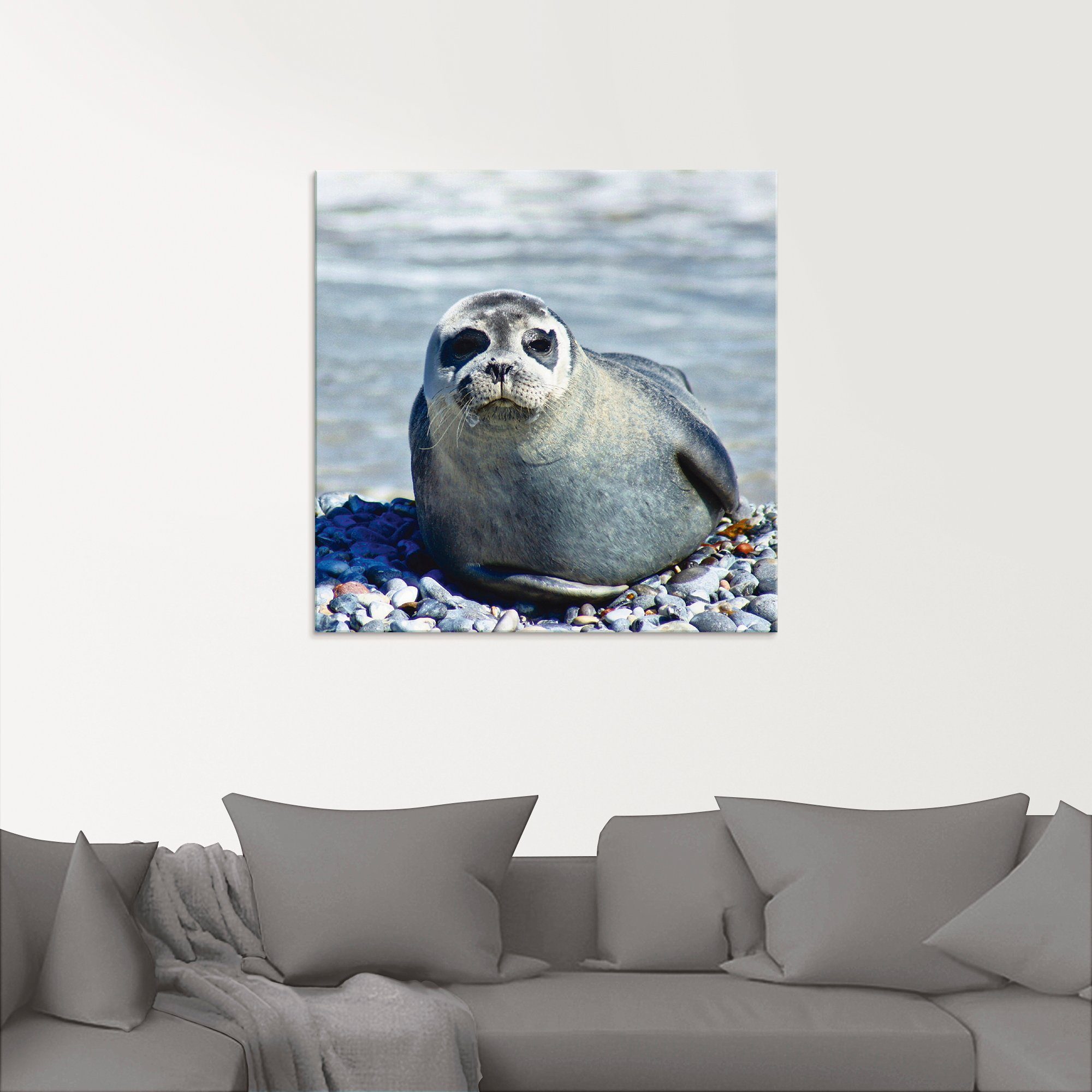 Artland Print op glas Rob op het strand van Helgoland