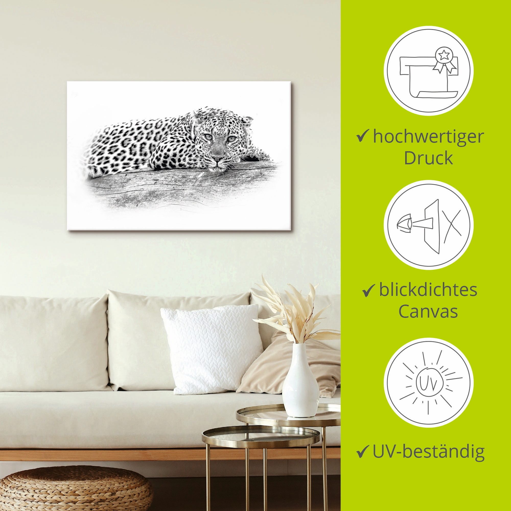 Artland Artprint Luipaard highkey look als artprint van aluminium, artprint op linnen, muursticker of poster in verschillende maten