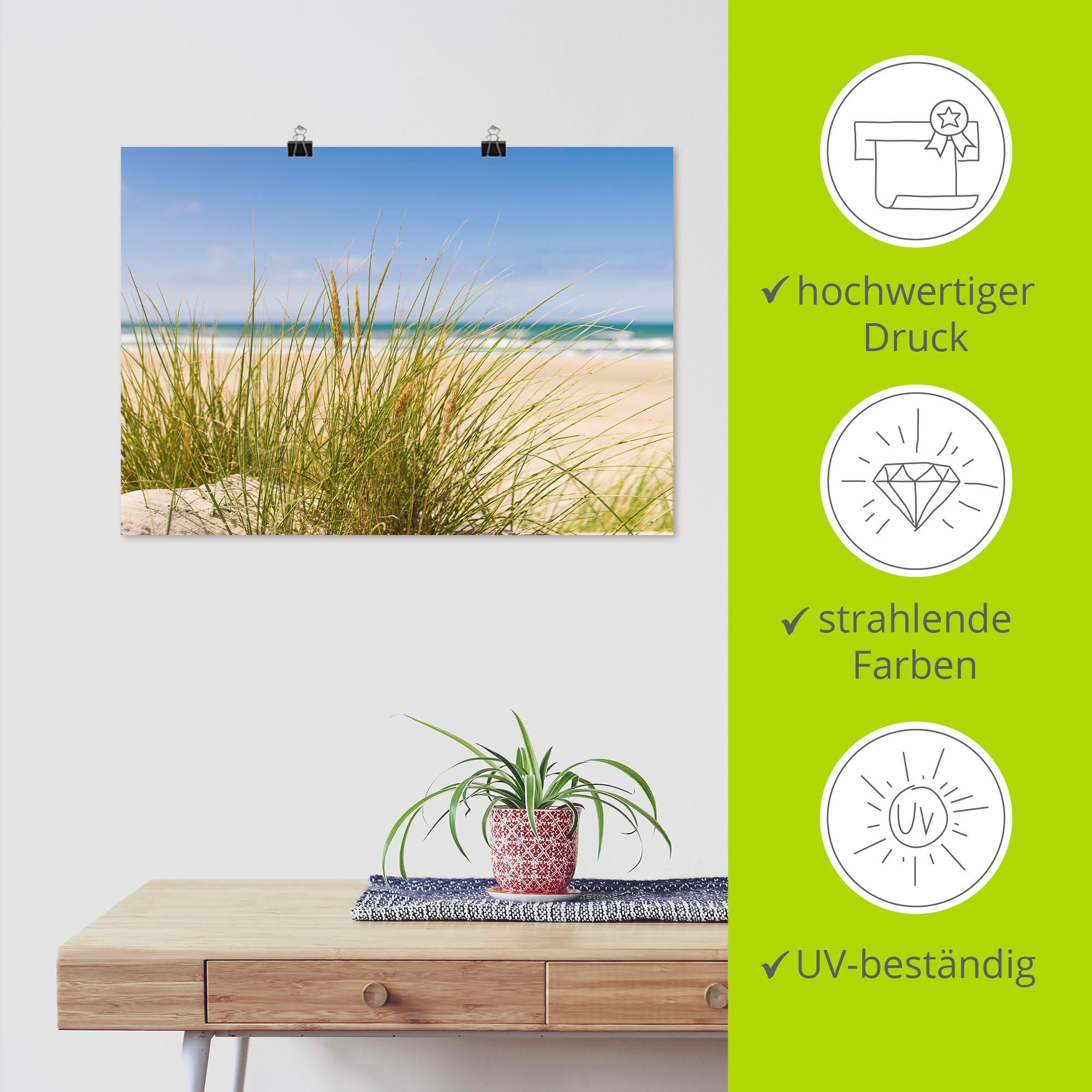 Artland Artprint Duingras als artprint van aluminium, artprint voor buiten, artprint op linnen, poster in verschillende maten. maten