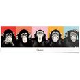 reinders! poster chimpansee pop (1 stuk) multicolor