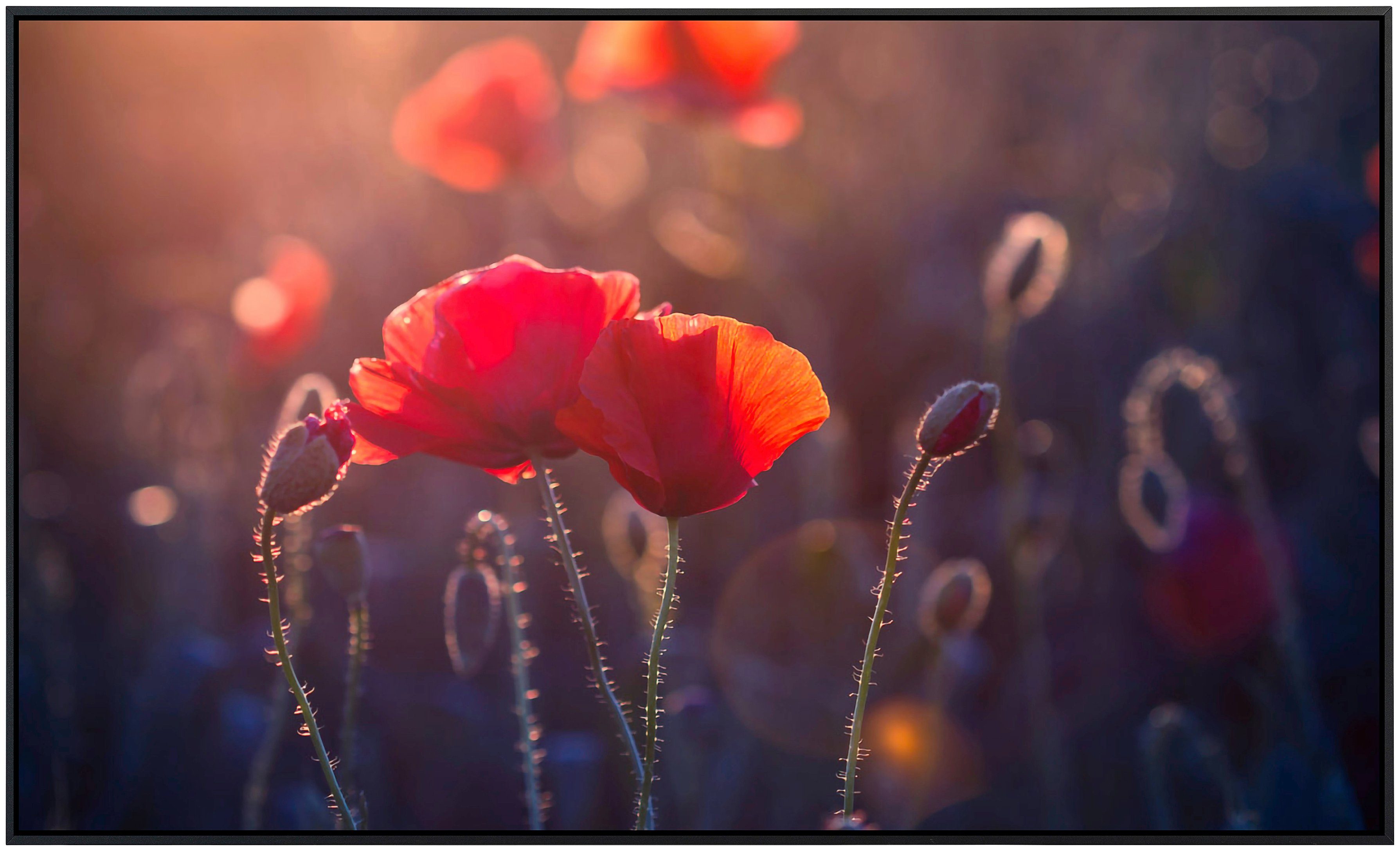 Papermoon Infraroodverwarming Bloemen zeer aangename stralingswarmte