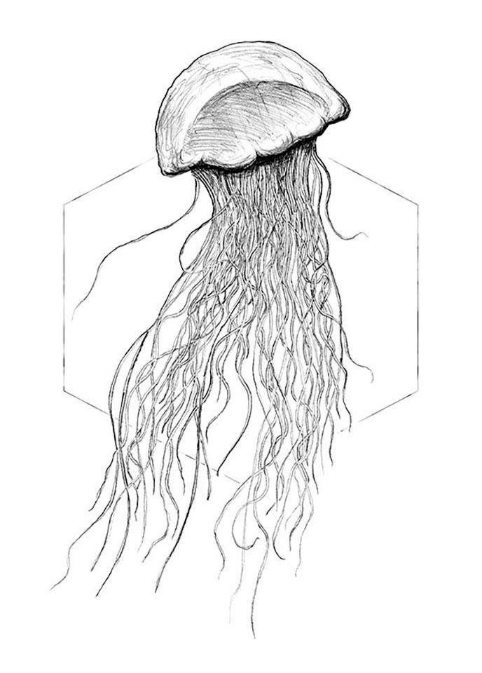 Komar Poster Jellyfish white Hoogte: 40 cm