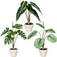 creativ green kunst-potplanten set van groene planten in een cementpot, set van 3 groen
