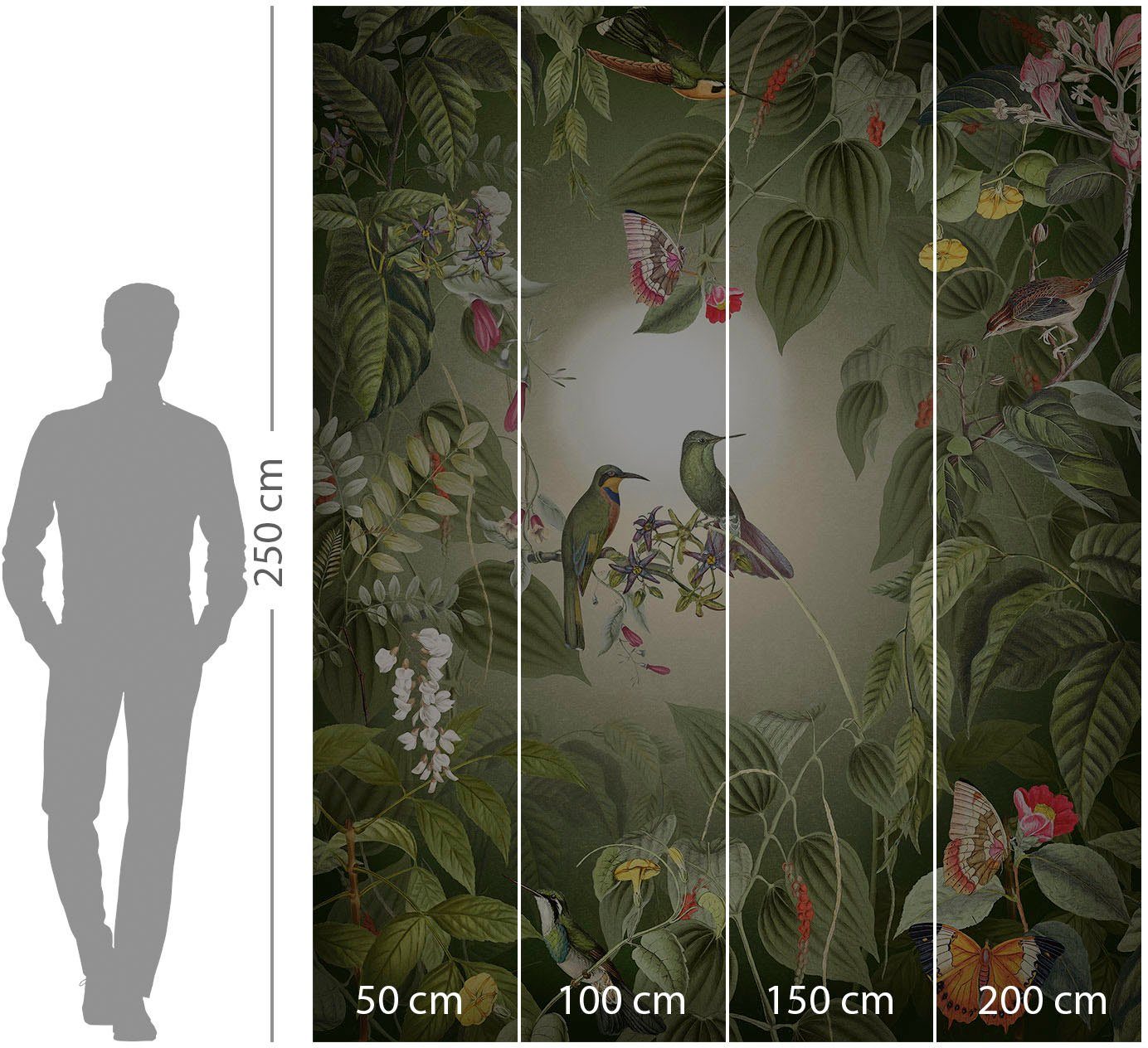 Komar Vliesbehang Digitale print vlies - Wildlife Birds - Afmeting 200 x 250 cm (1 stuk)
